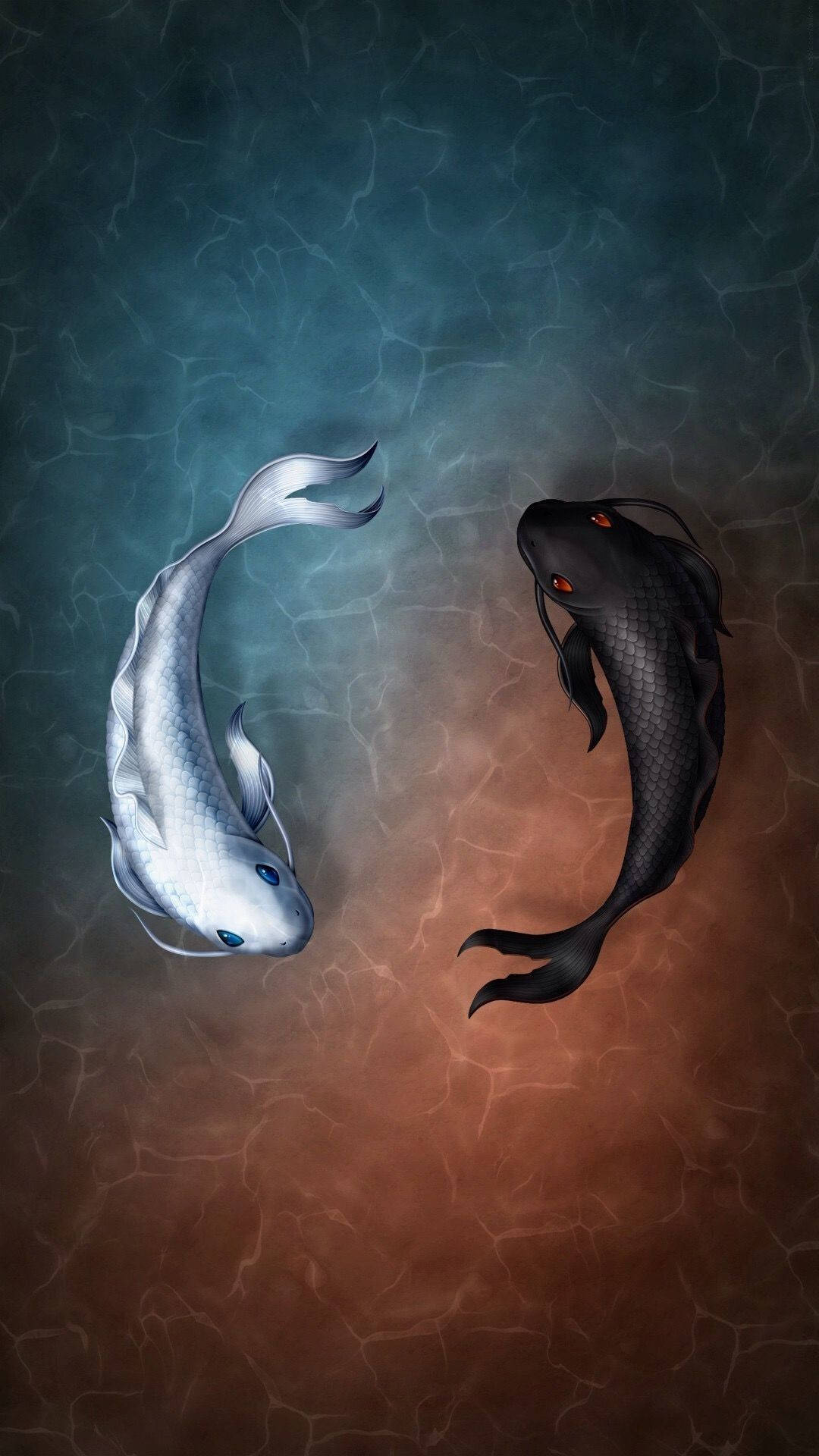 雙魚座 桌布 壁紙 — 兩條風格化的錦鯉，一條白色一條黑色，在分割的水景中面對面游動，帶有對比的藍色和橙色色調。