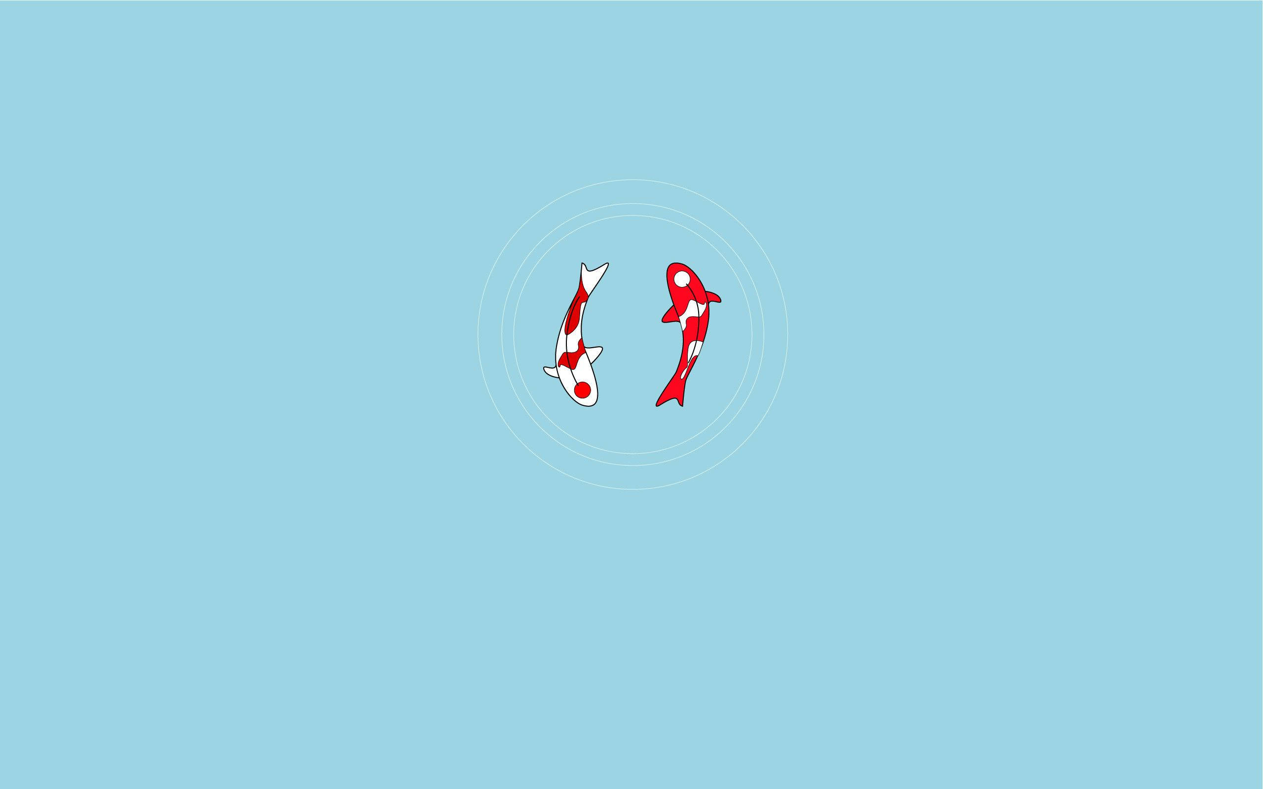 Cute Minimalist 桌布 壁紙 — 兩條風格化的錦鯉在柔和的藍色背景上以同心圓游動。