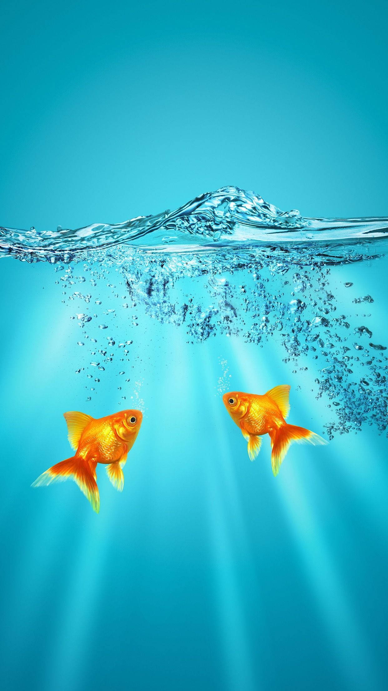 Goldfish 桌布 壁紙 — 兩條鮮豔的金魚在陽光照射的水面下游動，伴隨著閃爍的光線和上升的氣泡，背景是清澈的藍色。