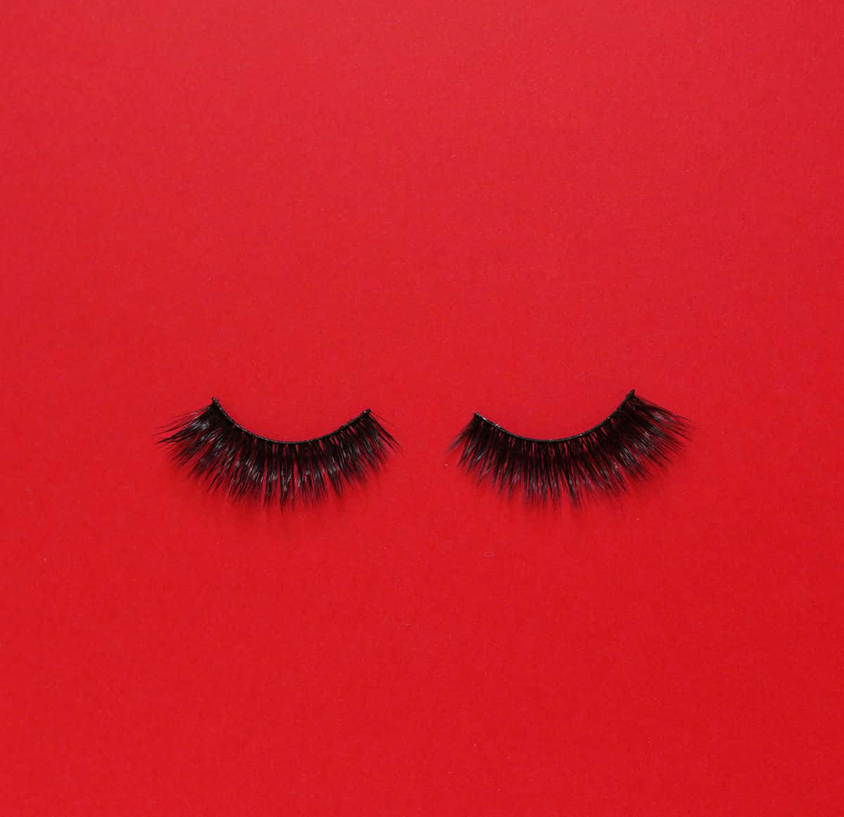 Eyelash 桌布 壁紙 — 兩條黑色假睫毛閉合地放在鮮豔的紅色紋理背景上。