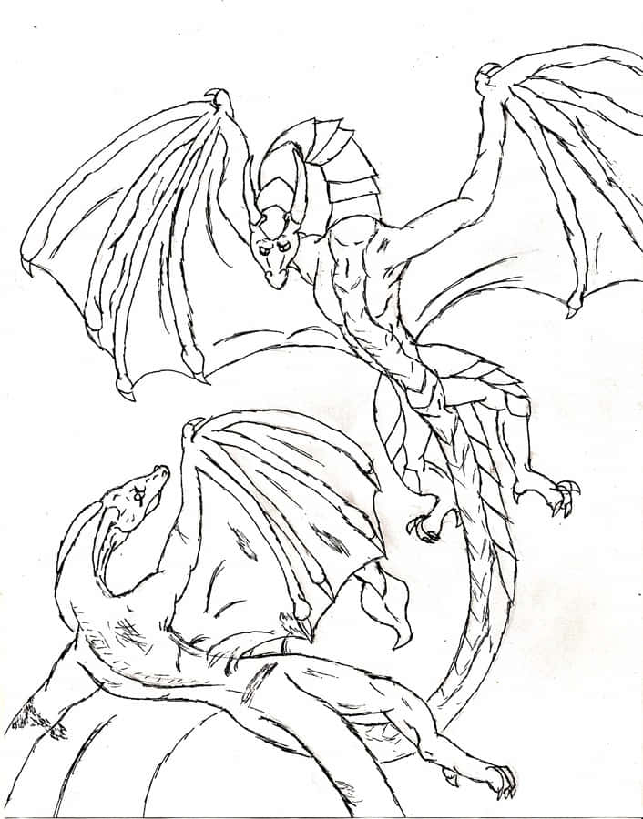 Dragon Coloring 桌布 壁紙 — 兩條龍在鮮明的黑白線條畫中動態翱翔，擁有詳細的翅膀和富有表現力的面孔。