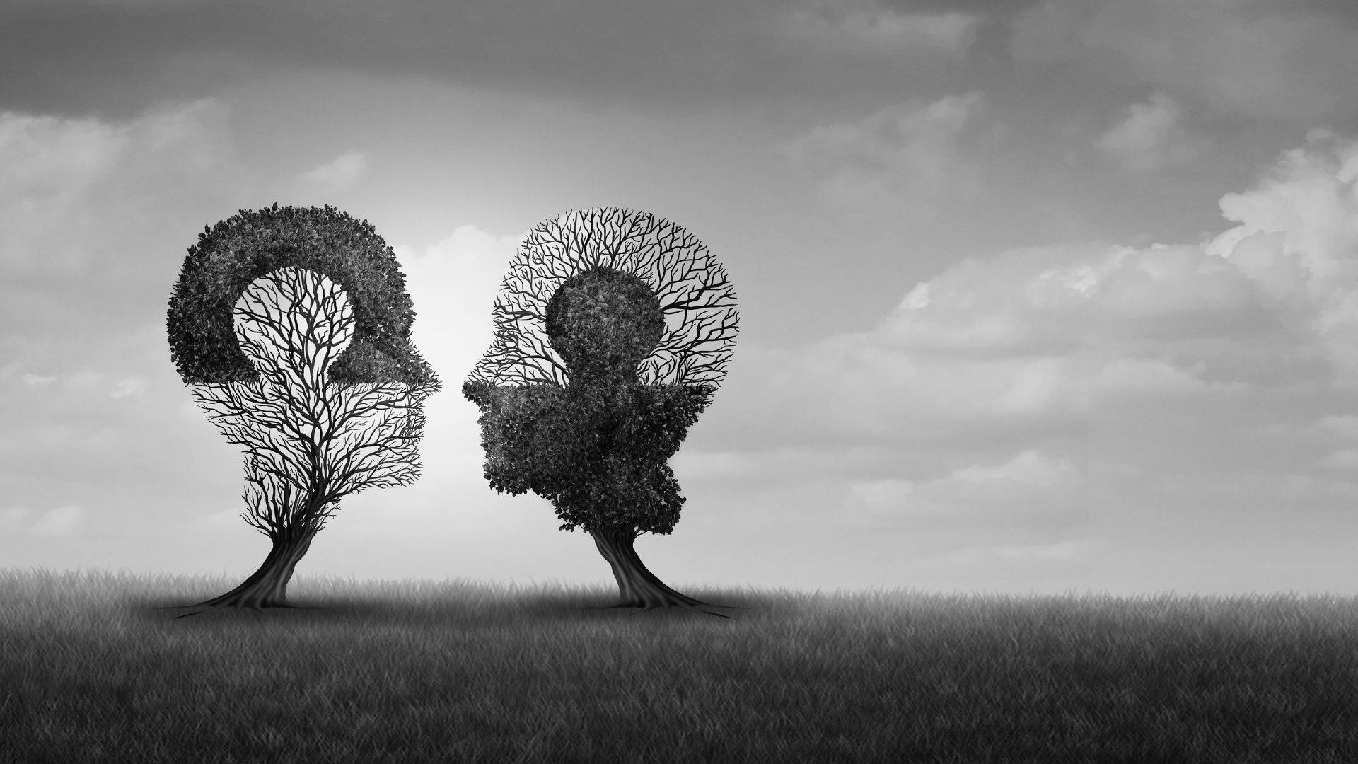 Brain 桌布 壁紙 — 兩棵形狀像人頭的樹在草地上相對而立，天空多雲。