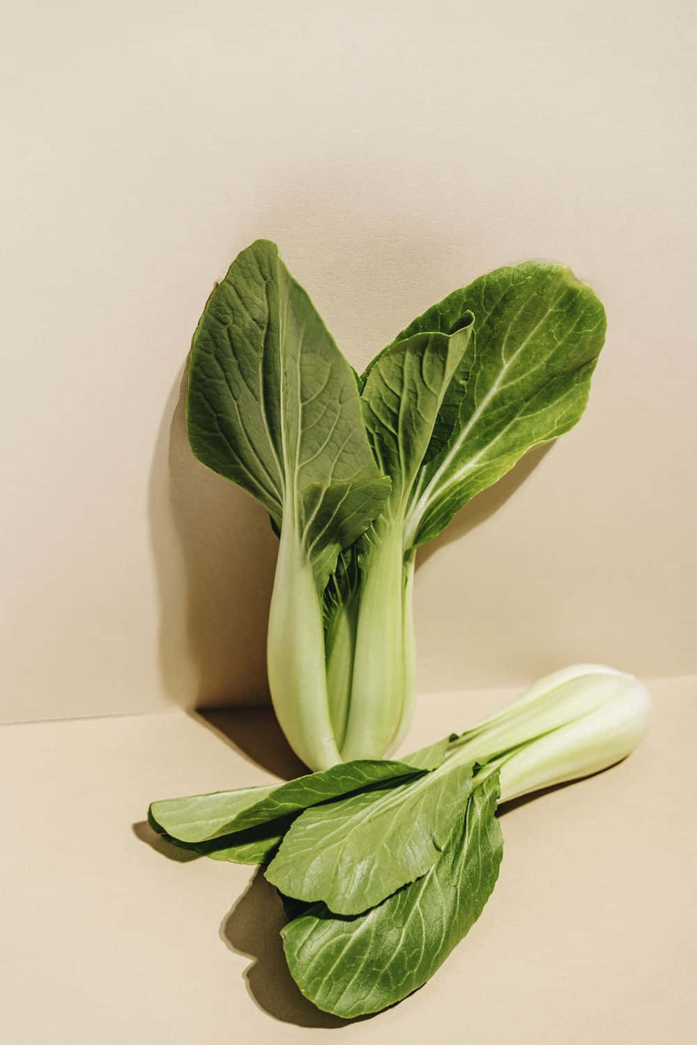 Minimalist Food 桌布 壁紙 — 兩棵新鮮的小白菜，帶有鮮綠色的葉子和清脆的白色莖部，靠在柔和的米色背景上。