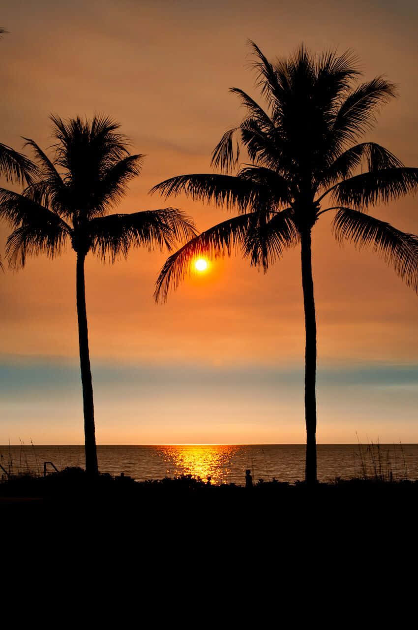 Palm Trees Beach 桌布 壁紙 — 兩棵棕櫚樹剪影，映襯著平靜海面上充滿活力的橙色日落。