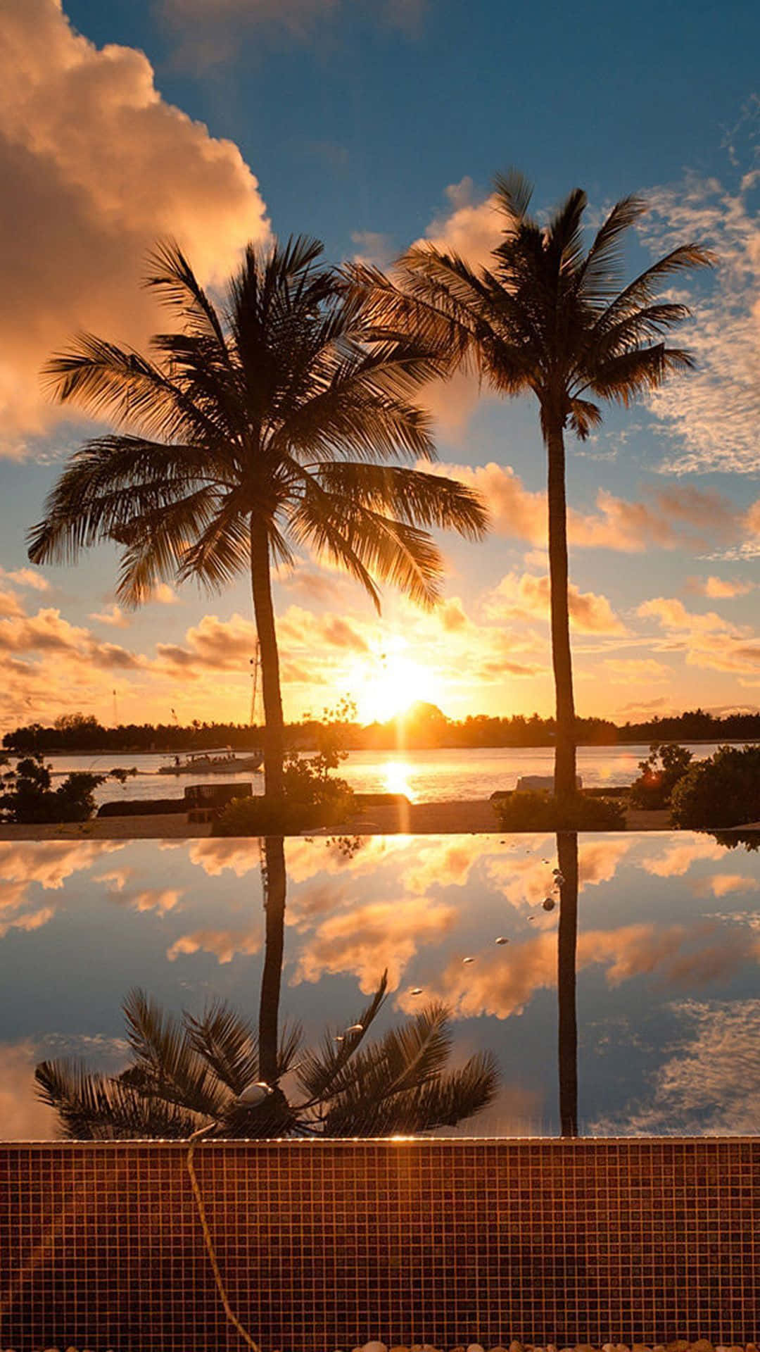 Sunset Beach iPhone 桌布 壁紙 — 兩棵棕櫚樹在充滿活力的日落映襯下，完美倒映在無邊際泳池中。