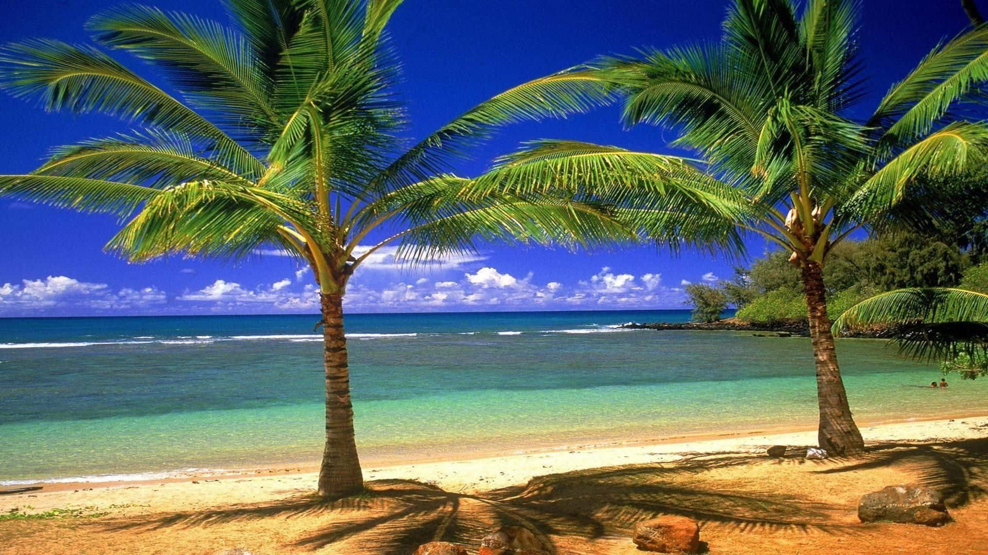 Tropical Island 桌布 壁紙 — 兩棵棕櫚樹在沙灘上投下長長的影子，旁邊是碧綠的海水，上方是明亮的藍天和蓬鬆的白雲。