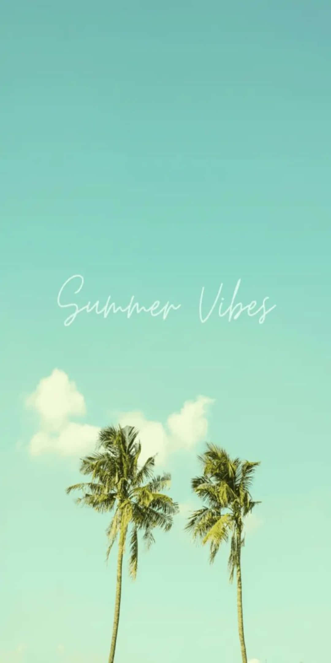 Pixel 3 Summer 桌布 壁紙 — 兩棵棕櫚樹在清澈的藍綠色天空下輕輕搖曳，天空中有柔軟的雲朵和Summer Vibes文字。