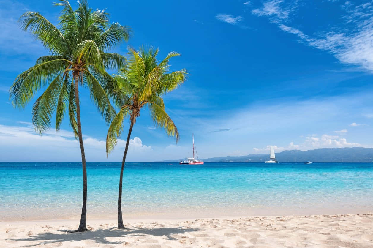 Jamaican Island 桌布 壁紙 — 兩棵棕櫚樹在純淨的白色沙灘上搖曳，碧綠的海水中有帆船，天空湛藍明亮。