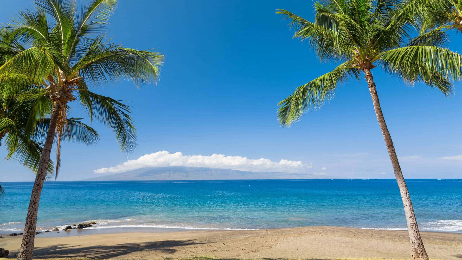 Palm Trees Beach 桌布 壁紙 — 兩棵棕櫚樹框住的熱帶海灘，碧綠海洋和遠山，在清澈藍天下。