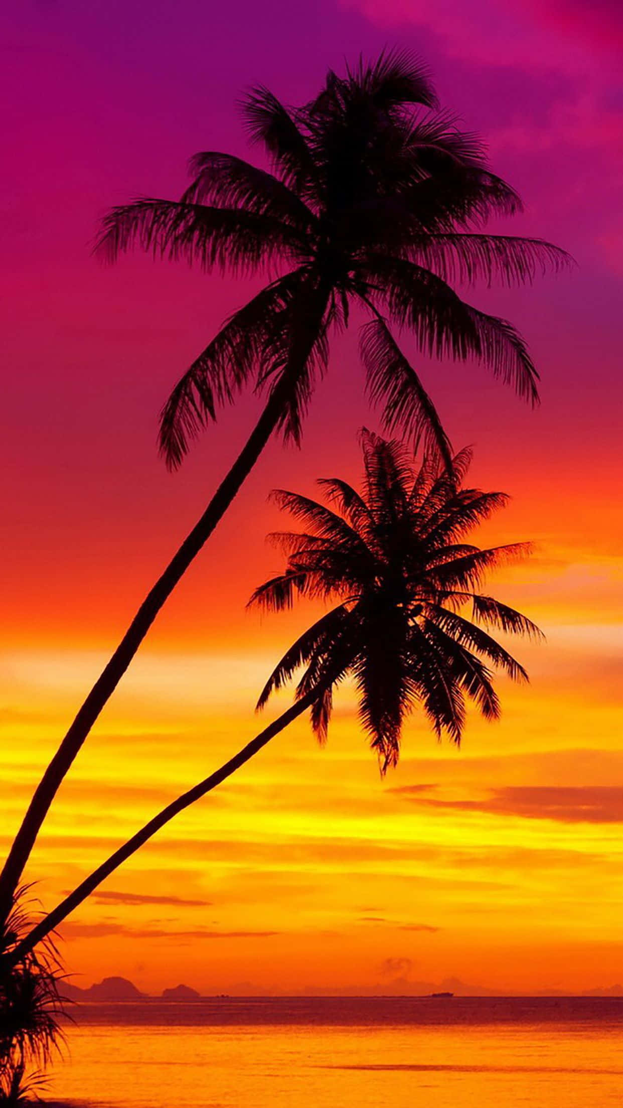 Coconut Tree 桌布 壁紙 — 兩棵棕櫚樹的剪影，映襯著平靜海面上由洋紅、橙和黃色組成的熾熱日落天空。