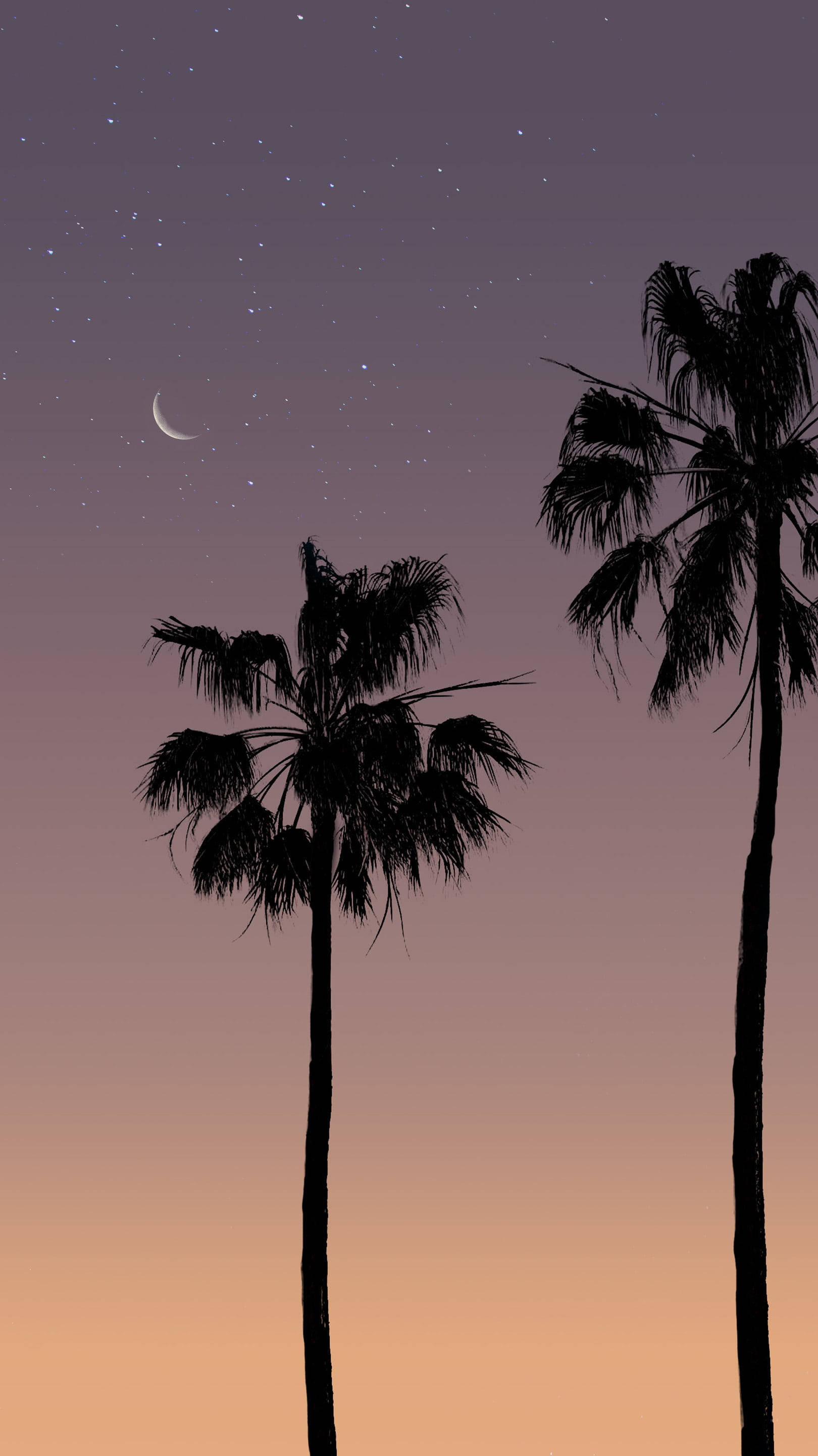 Aesthetic Sunset 桌布 壁紙 — 兩棵棕櫚樹的剪影在點綴著星星和彎月的暮色天空中高高聳立。