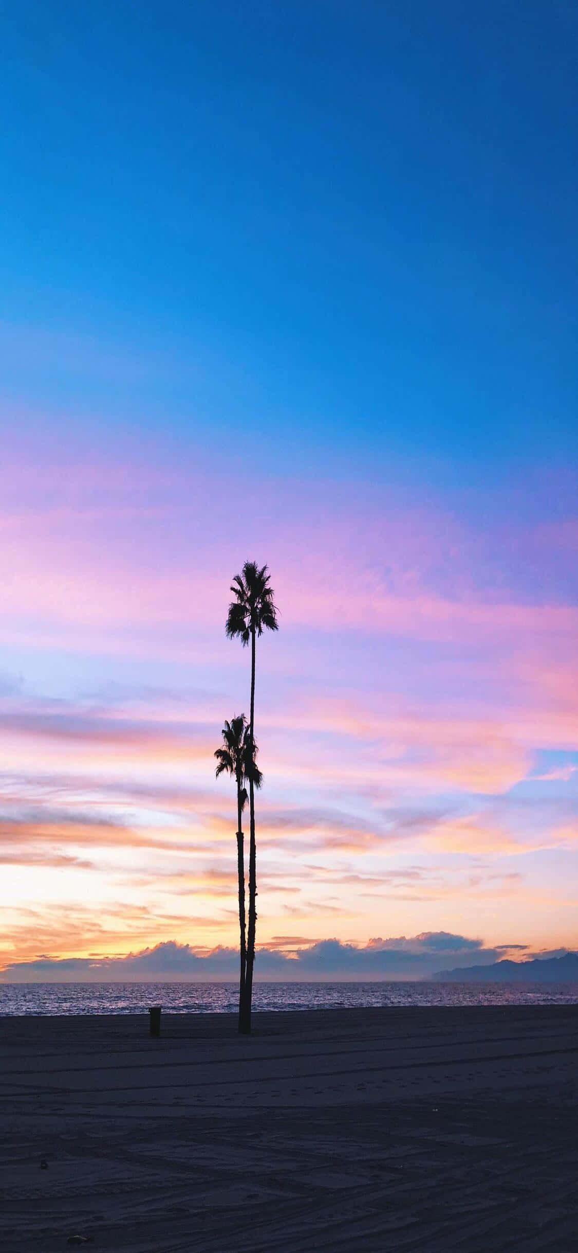 iPhone X California 桌布 壁紙 — 兩棵棕櫚樹高高聳立，夕陽燦爛，在平靜的海洋上空將天空染成粉紅色、紫色和橙色的色調。