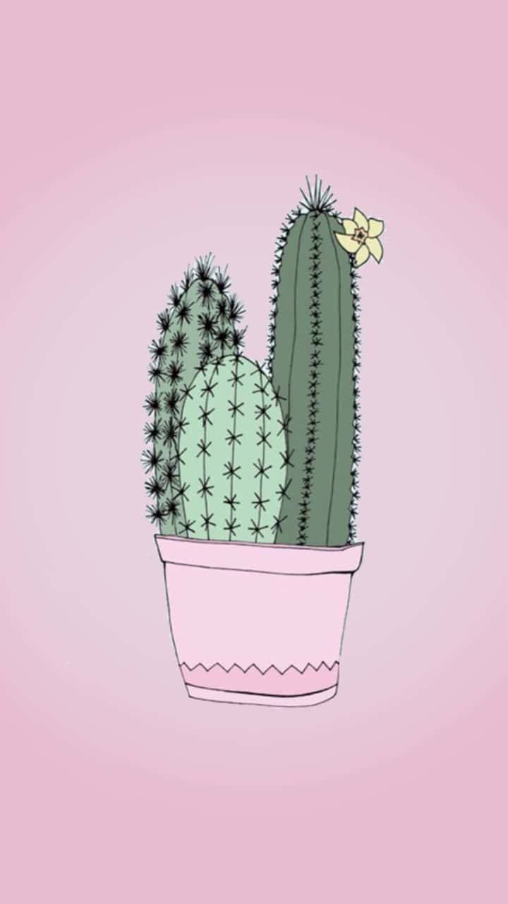 Cute Cactus 桌布 壁紙 — 兩棵綠色仙人掌種在粉紅色花盆中，在柔和的粉紅色漸變背景襯托下，開出一朵黃色花朵。