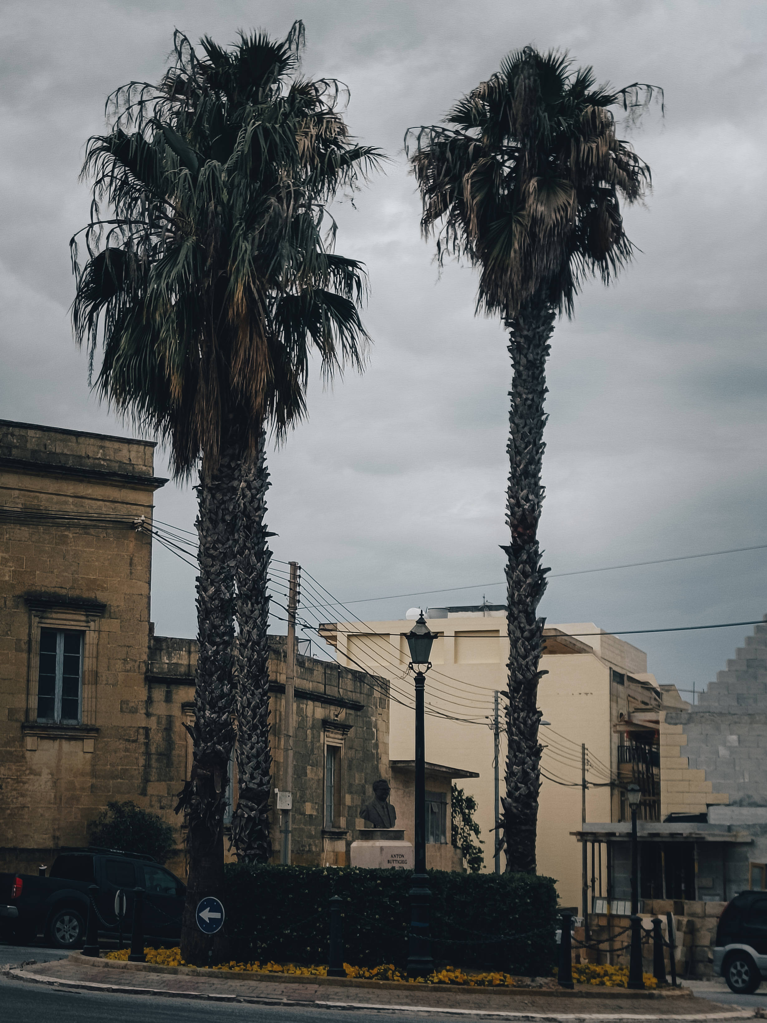 Malta 桌布 壁紙 — 兩棵高大的棕櫚樹矗立在多雲的天空下，一條寧靜的城市街道上有石頭建築和復古路燈。