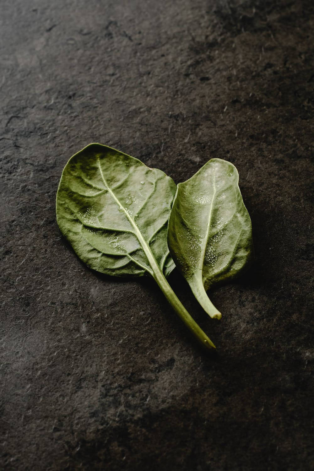 Healthy Food 桌布 壁紙 — 兩片帶有水珠的新鮮菠菜葉放在深色紋理石面上。