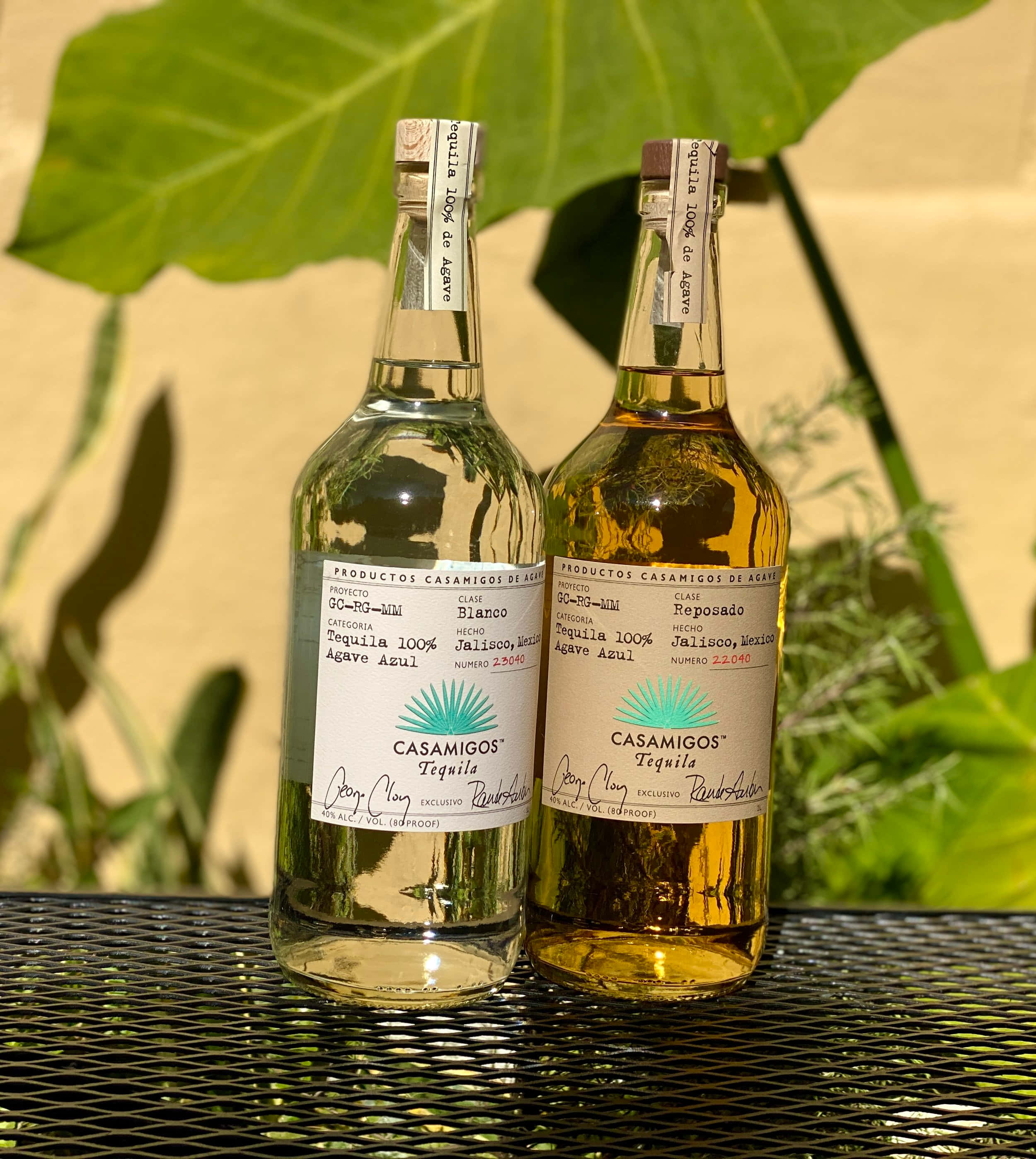 bottle 桌布 壁紙 — 兩瓶Casamigos龍舌蘭酒blanco和reposado放在金屬網桌上，背景是大片綠葉和溫暖的米色牆壁。