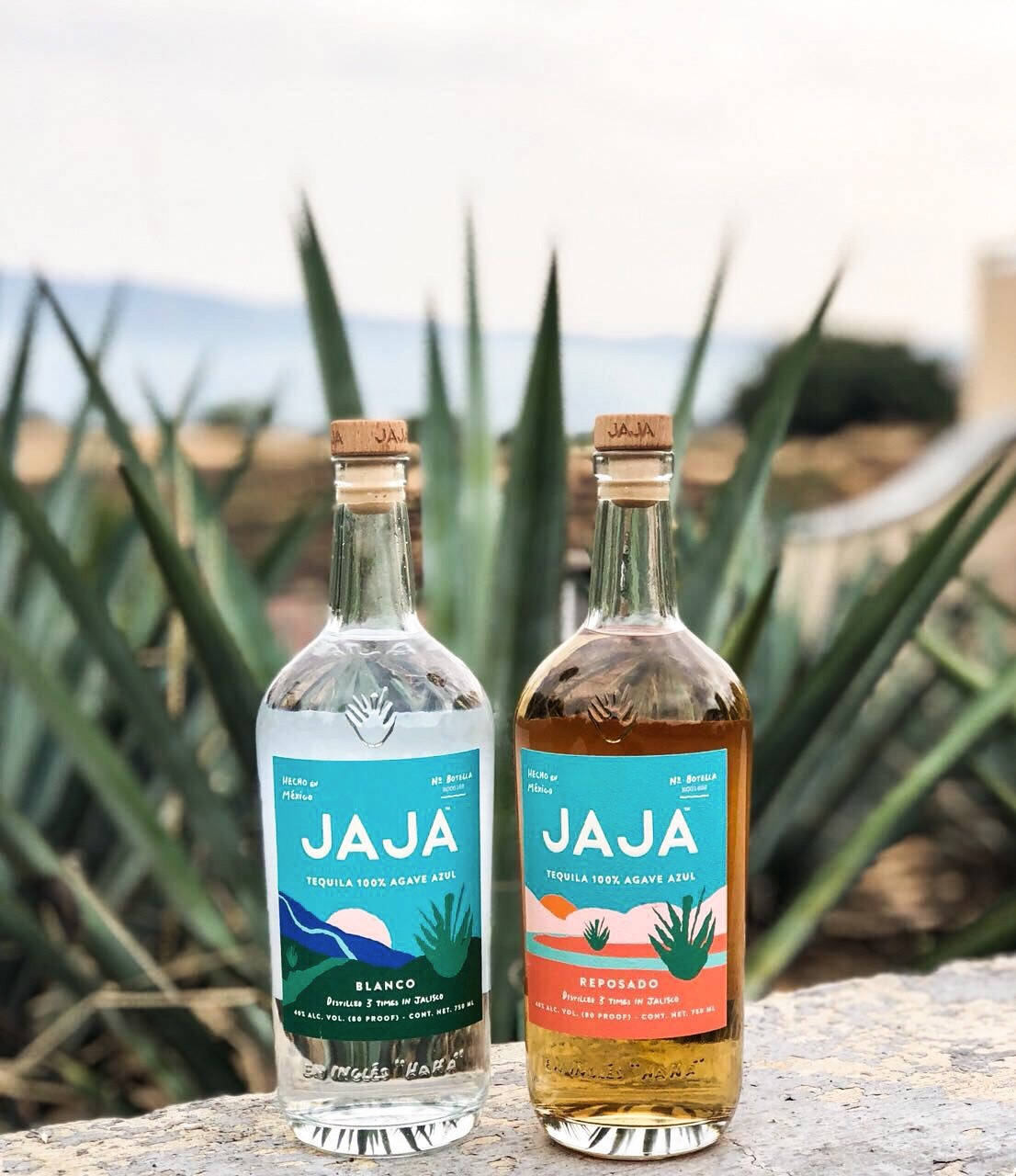 bottle 桌布 壁紙 — 兩瓶Jaja龍舌蘭酒blanco和reposado放在石架上，背景有龍舌蘭植物和朦朧的山脈。