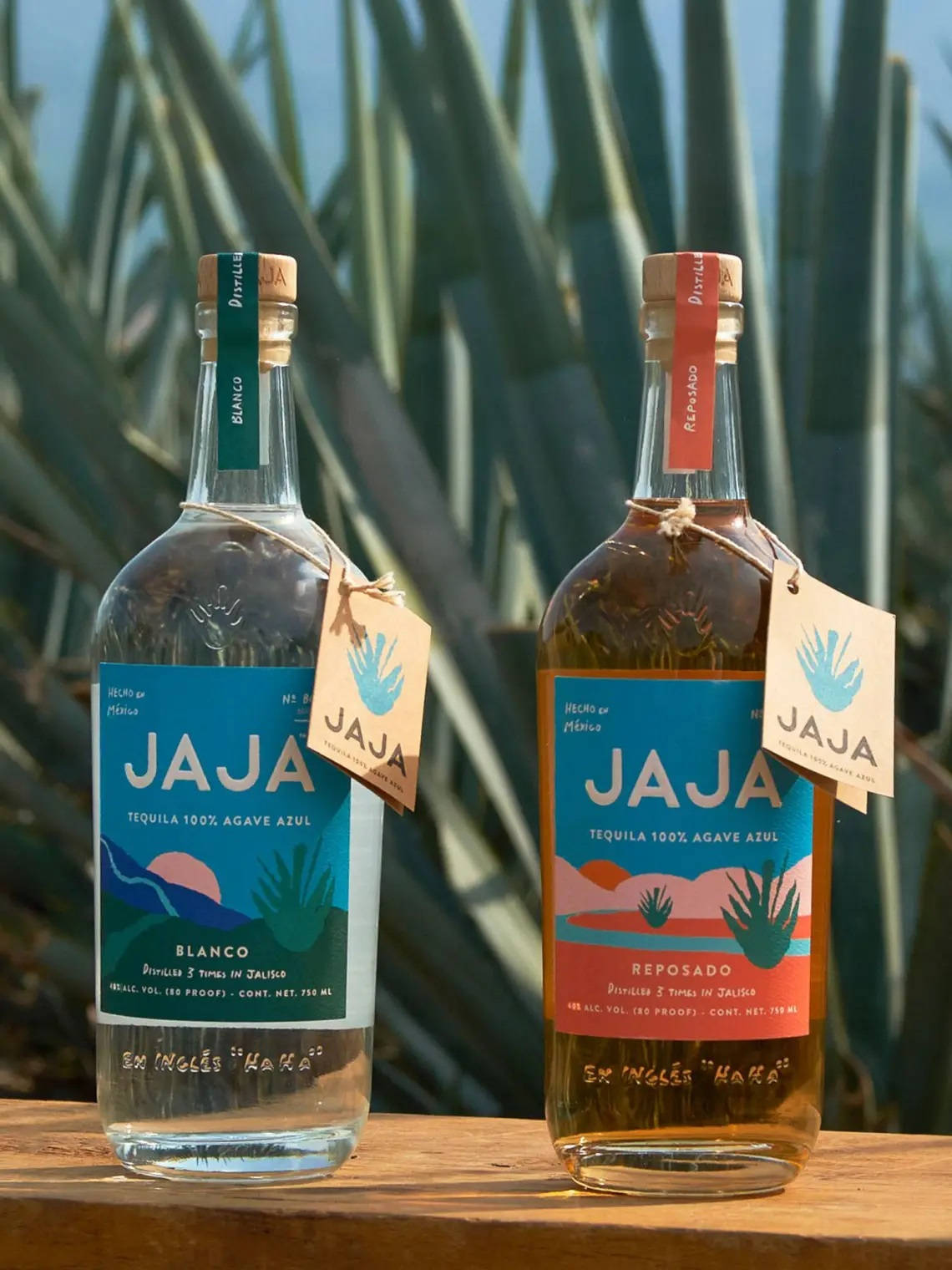 bottle 桌布 壁紙 — 兩瓶Jaja龍舌蘭酒blanco和reposado放在木質表面上，背景是高高的龍舌蘭植物，在明亮的日光下。