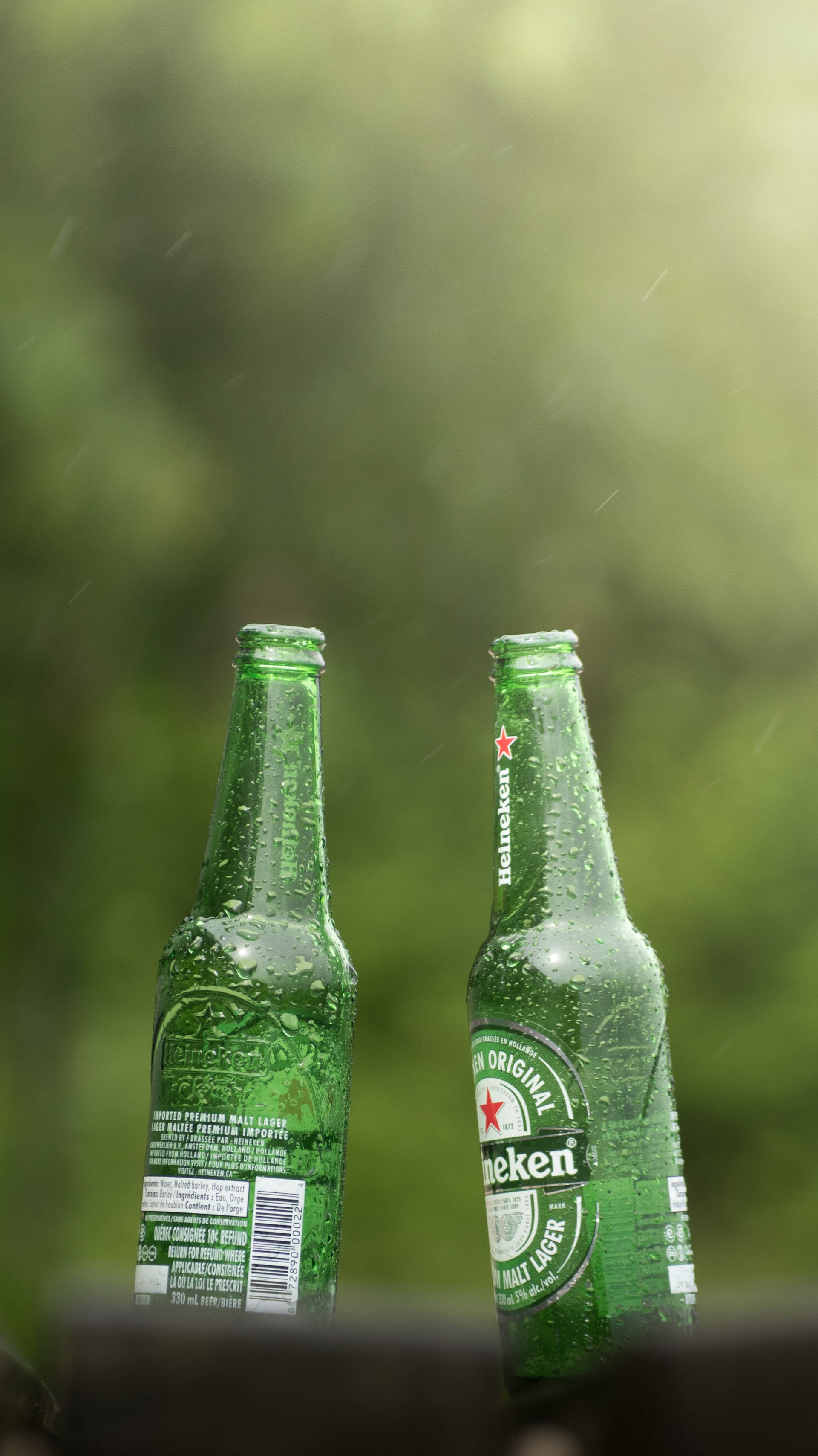 Drink 桌布 壁紙 — 兩瓶冰涼的海尼根啤酒瓶在柔和的綠色模糊背景上閃爍著雨滴。