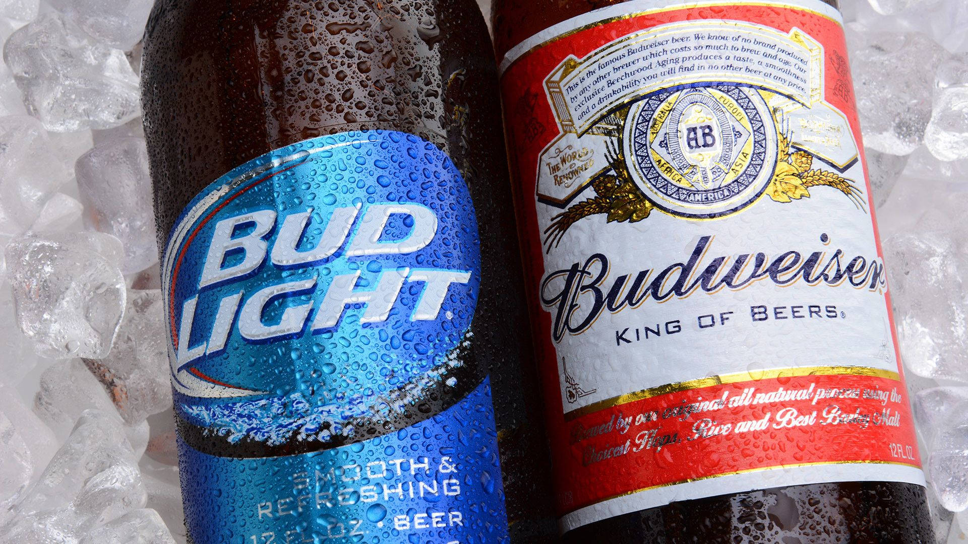 Beer 桌布 壁紙 — 兩瓶冰鎮的Bud Light和Budweiser啤酒，依偎在閃閃發光的冰塊中，帶有冷凝水滴。