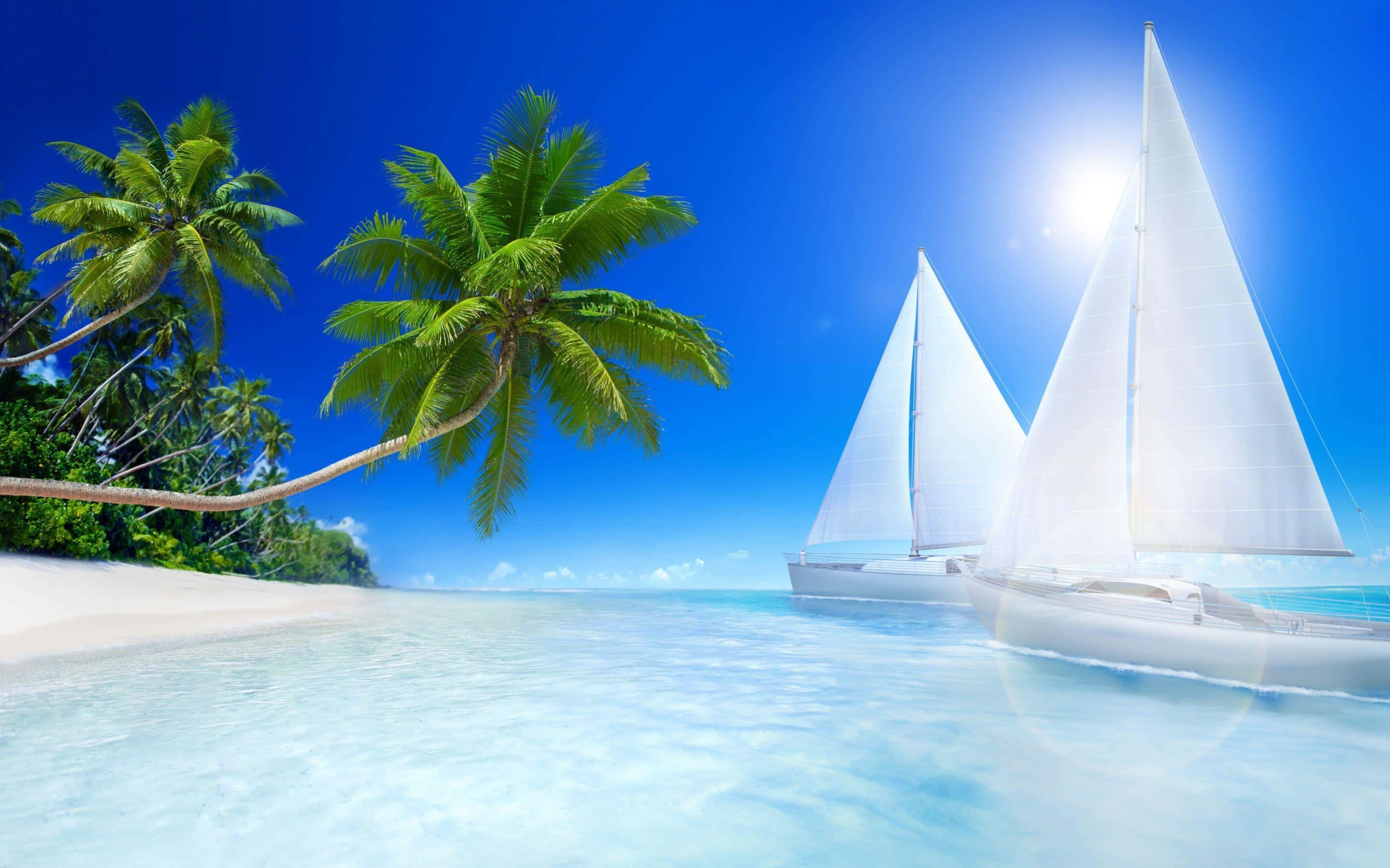Beach Desktop 桌布 壁紙 — 兩艘白色帆船在清澈碧綠的海水上滑行，旁邊是白色沙灘，沙灘上種滿了茂密的綠色棕櫚樹，頭頂是明亮的藍天。