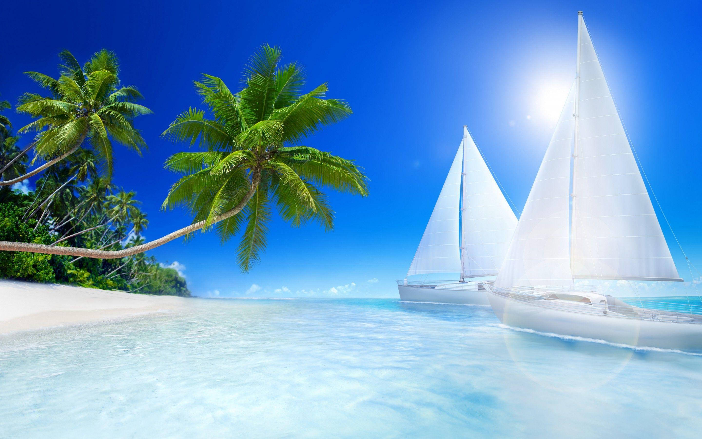 Sail Boat 桌布 壁紙 — 兩艘白色帆船在湛藍的天空下，沿著種滿茂密綠色棕櫚樹的沙灘旁的碧綠海水上滑行。