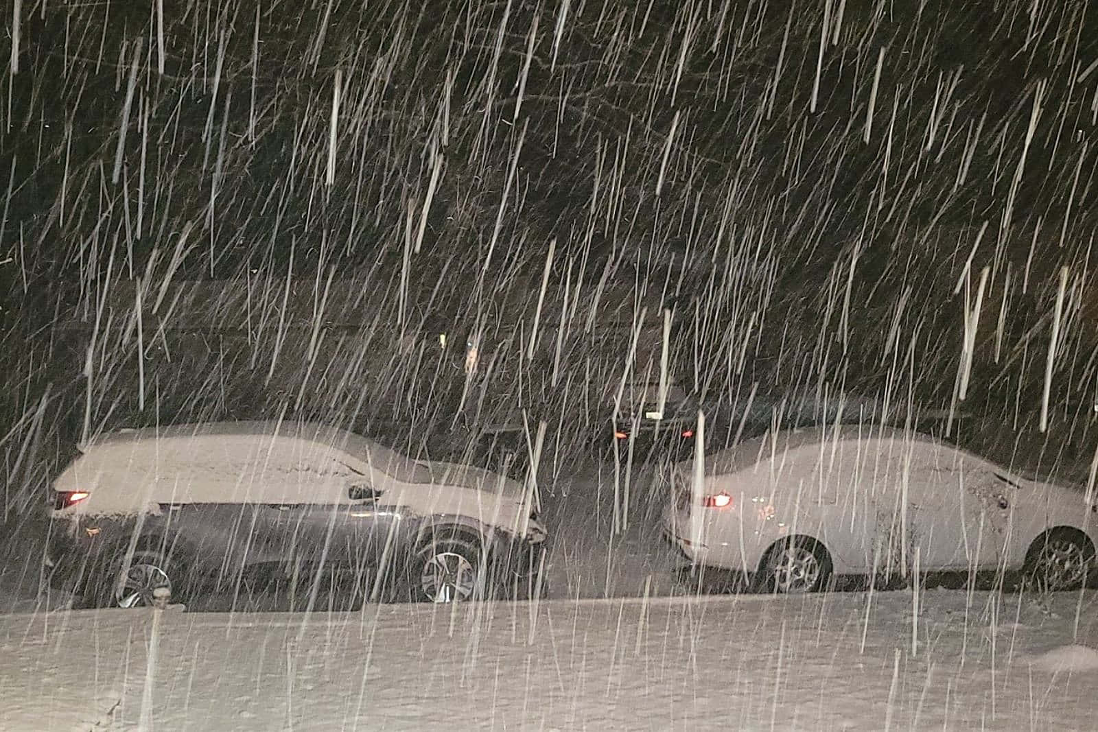 Road 桌布 壁紙 — 兩輛停在外面的汽車被雪覆蓋，大雪紛飛，映襯著漆黑的夜空。