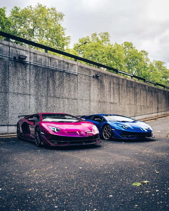 race car 桌布 壁紙 — 兩輛充滿活力的跑車，一輛洋紅色和一輛藍色藍寶堅尼，並排停放在柏油路上，旁邊是混凝土牆，上方有綠樹。