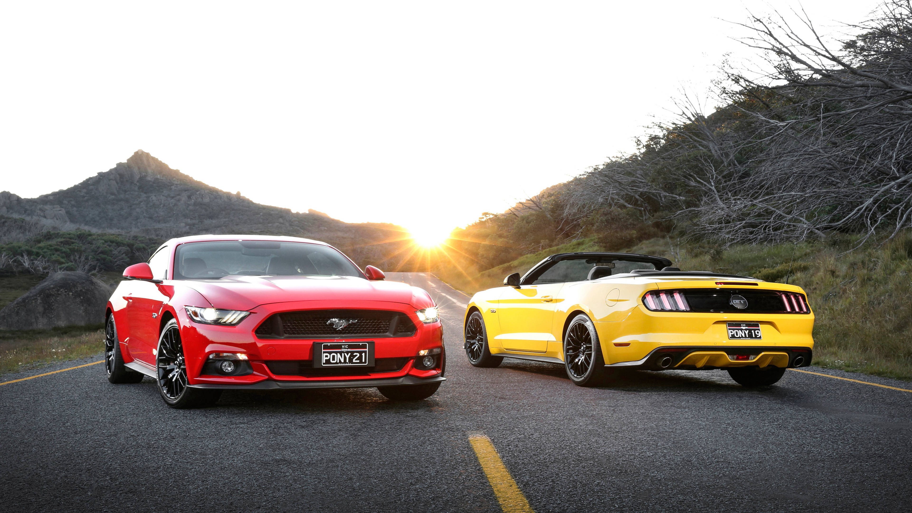 mustang HD 桌布 壁紙 — 兩輛充滿活力的野馬，紅色和黃色，在蜿蜒的山路上於金色日落時分相對而立。