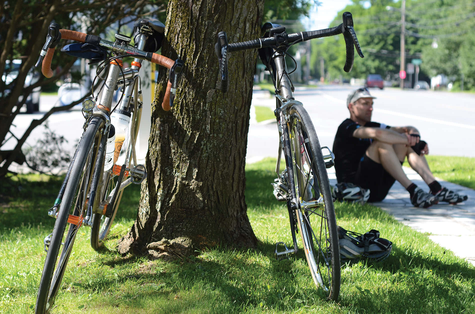 Best Bikes 桌布 壁紙 — 兩輛公路自行車靠在一棵樹旁，一名自行車騎士在陽光普照的公園人行道上休息。