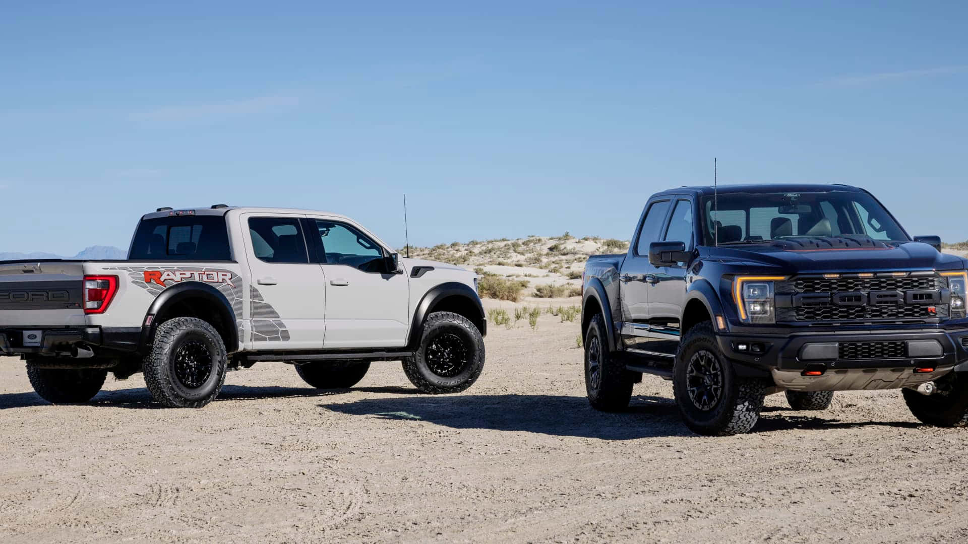 Trucks 桌布 壁紙 — 兩輛堅固的福特 Raptor 卡車，一白一黑，並排停放在陽光普照的沙漠地形上，天空清澈湛藍。