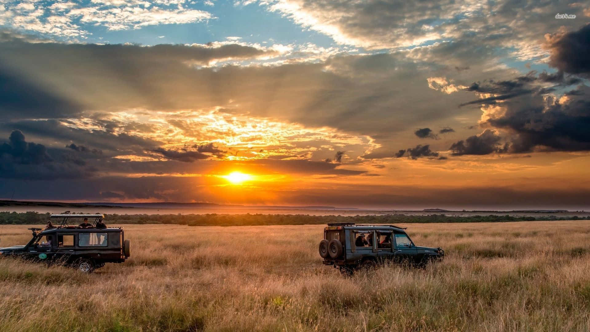 Safari 桌布 壁紙 — 兩輛堅固的越野車停泊在金黃色的草原上，夕陽在戲劇性的雲層後落下。