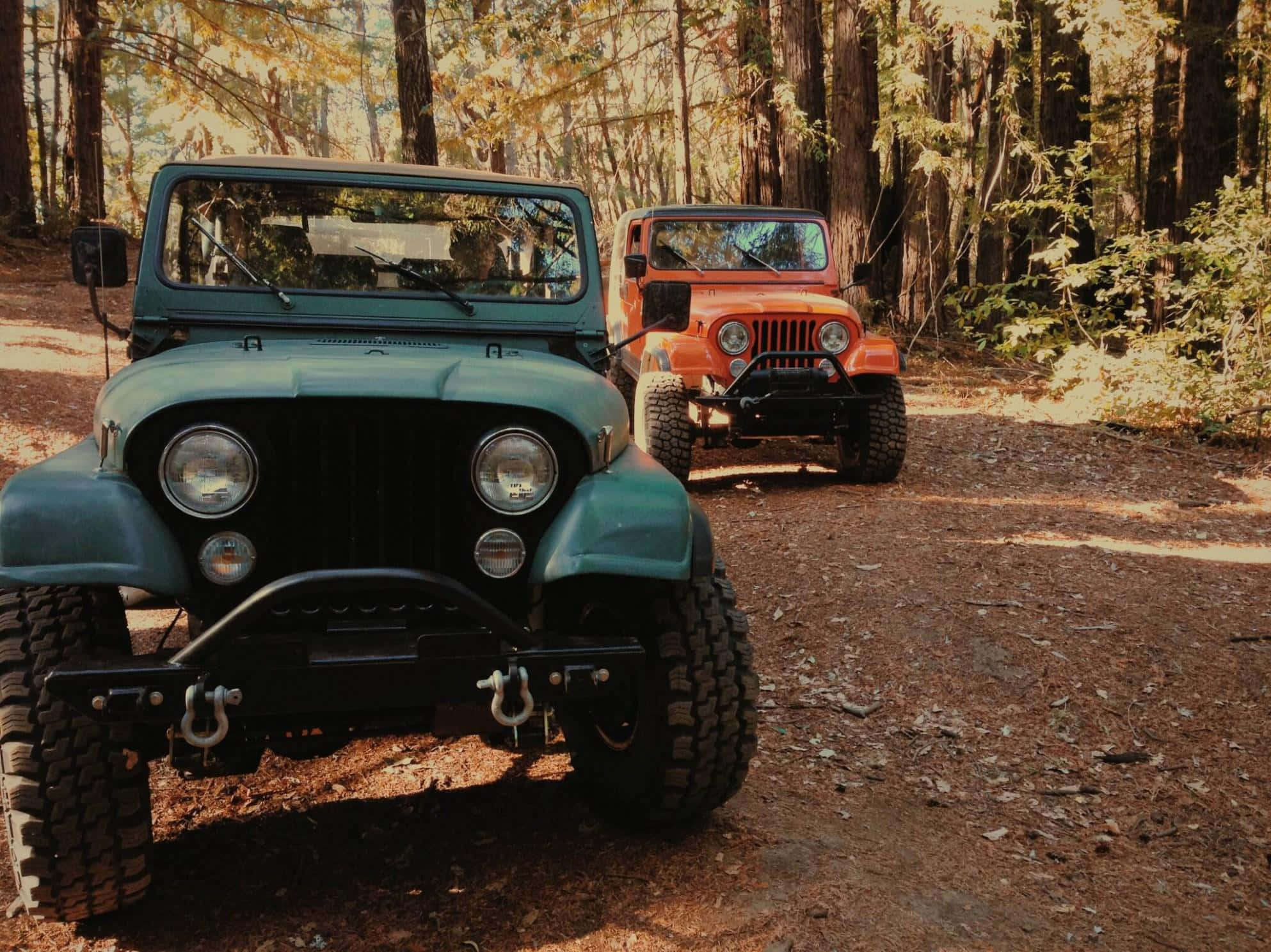Jeep Cj 桌布 壁紙 — 兩輛復古吉普車，一輛青綠色，一輛橙色，停放在森林小徑上，沐浴在透過高大樹木灑落的金色陽光中。
