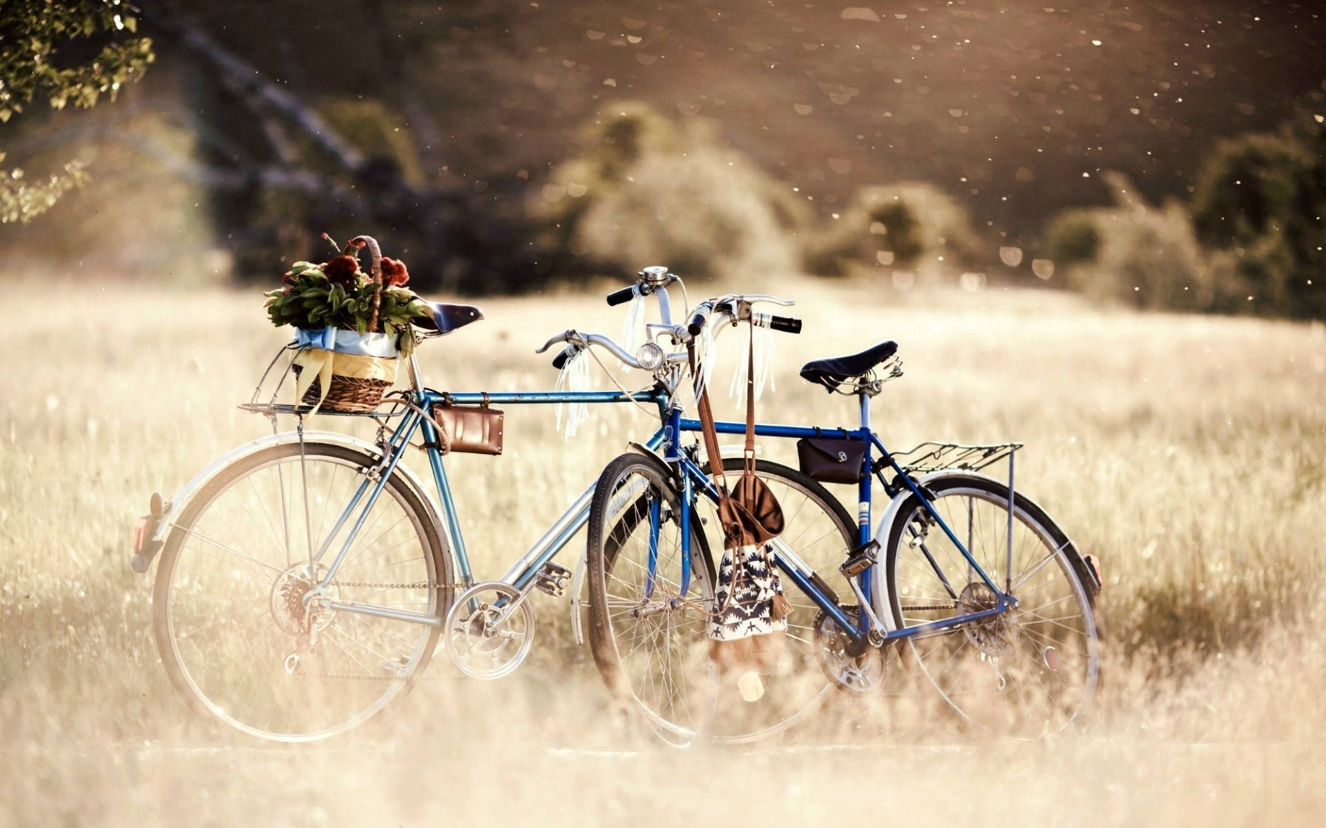 Bicycle 桌布 壁紙 — 兩輛復古藍色自行車，配有籃子和袋子，在陽光明媚的金色田野中休息，背景柔和散景。