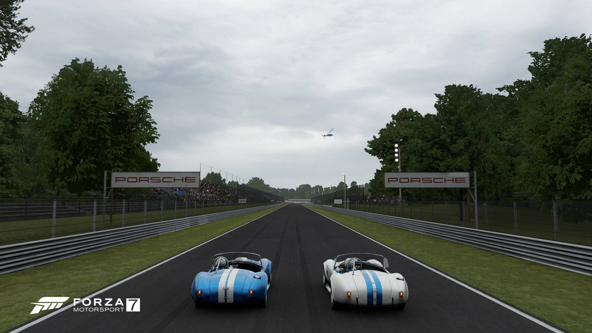 Motorsport 桌布 壁紙 — 兩輛復古賽車在陰天之下，沿著兩旁種滿樹木和掛有保時捷旗幟的潮濕賽道飛馳。