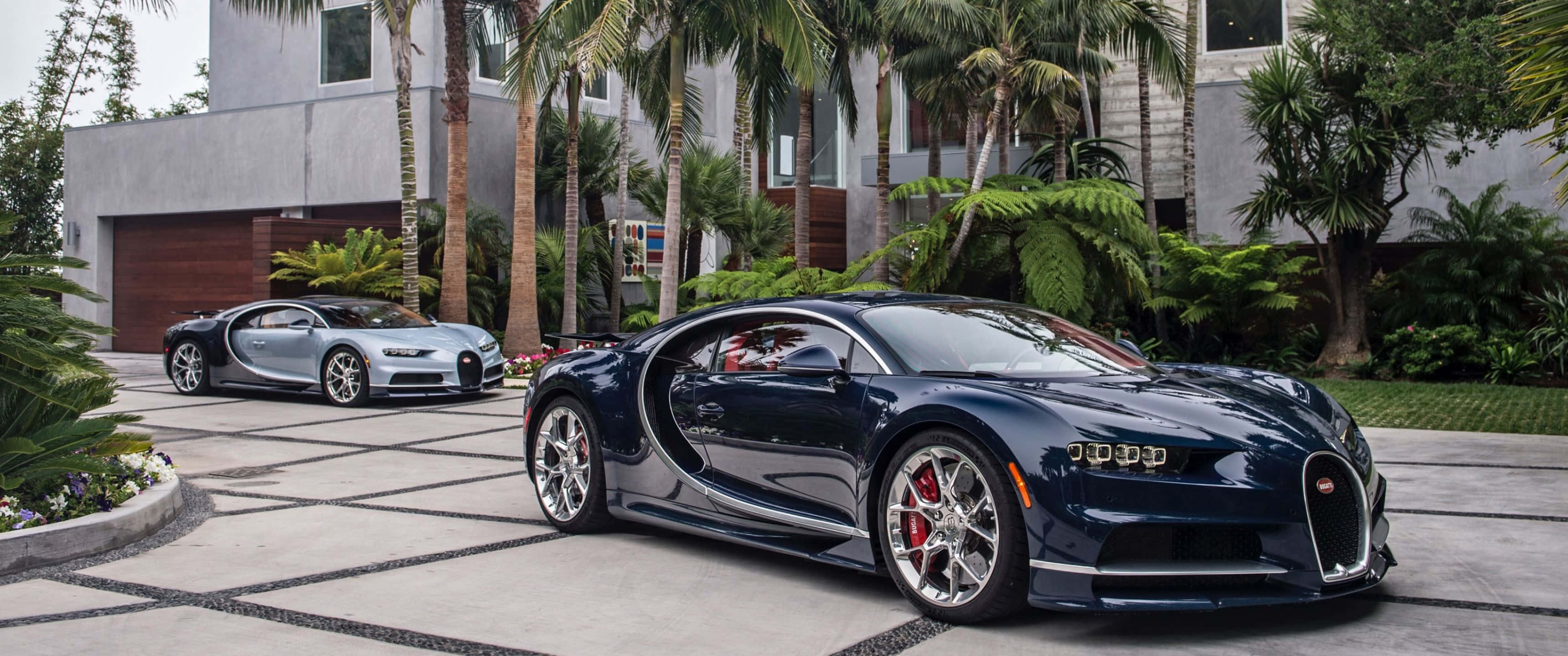 3440x1440p Bugatti 桌布 壁紙 — 兩輛時尚的布加迪超級跑車在日光下閃耀，停泊在現代豪宅旁棕櫚樹成蔭的車道上。