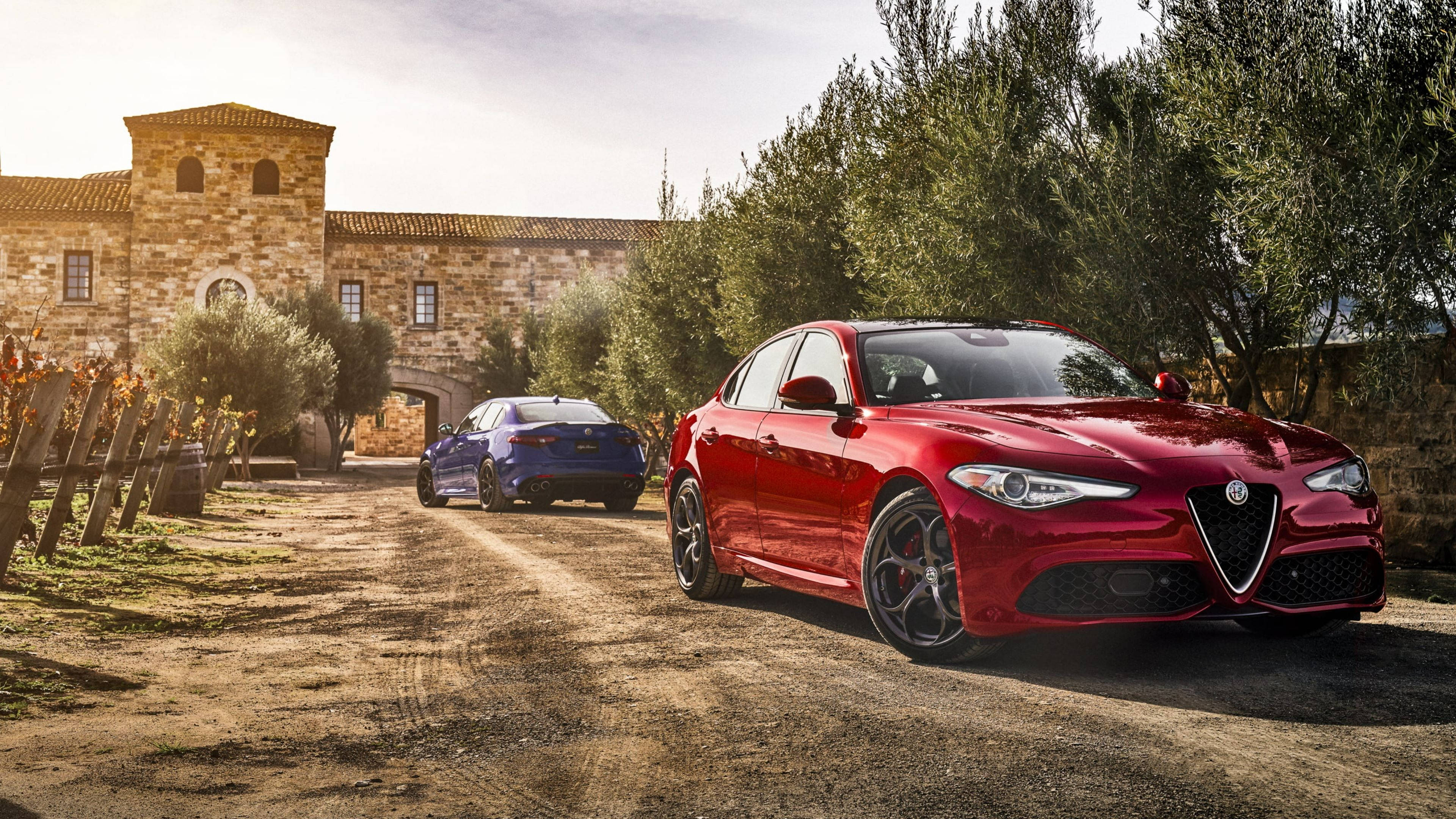 Alfa Romeo 桌布 壁紙 — 兩輛時尚的阿爾法羅密歐跑車，一輛鮮紅色和一輛深藍色，停泊在陽光明媚的泥路上，前面是一座被橄欖樹環繞的質樸石頭別墅。