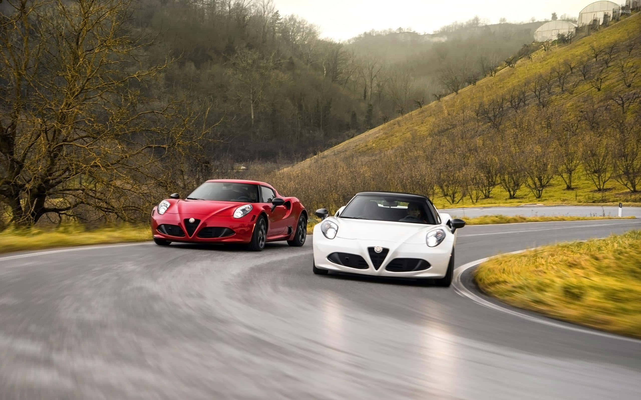 Alfa Romeo 4c 桌布 壁紙 — 兩輛時尚跑車，一輛紅色和一輛白色的愛快羅密歐，沿著蜿蜒的山路穿過秋日的山丘奔馳。