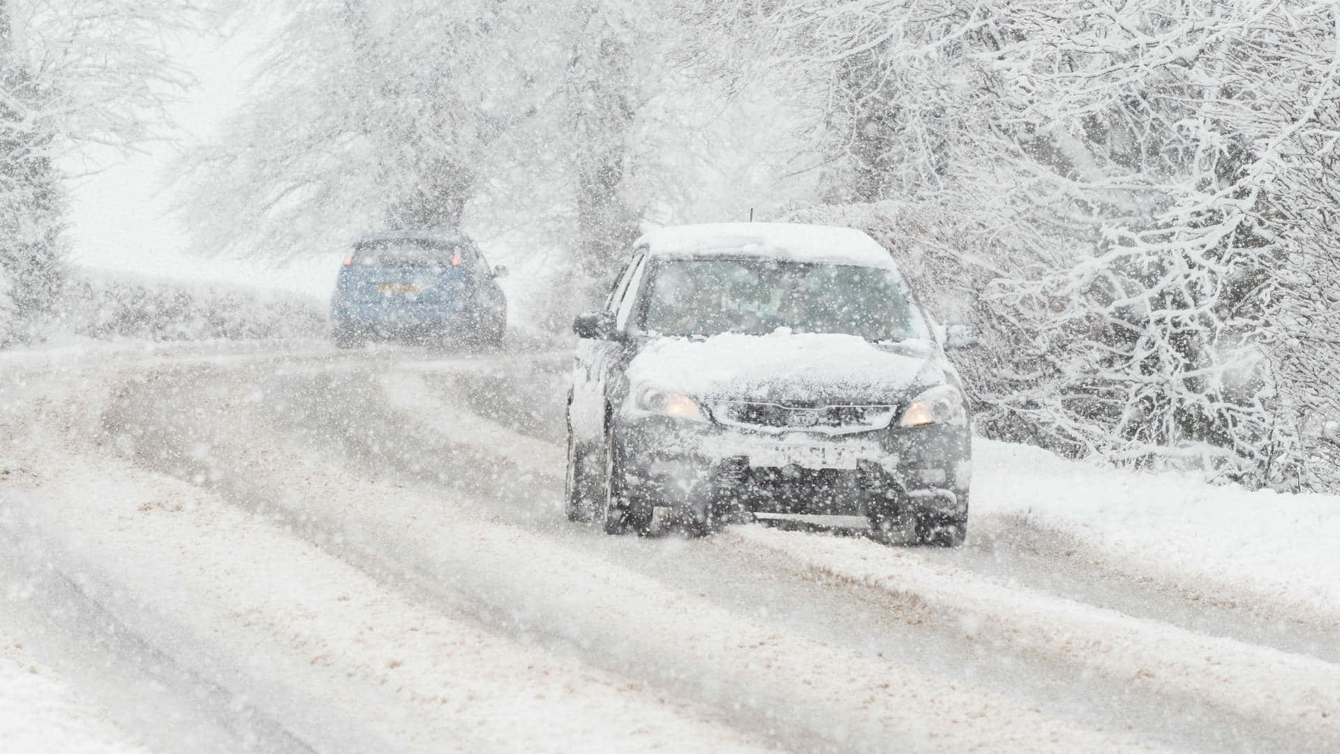 Winter Driving 桌布 壁紙 — 兩輛車在暴風雪中行駛在白雪覆蓋的道路上，穿越冬季森林。