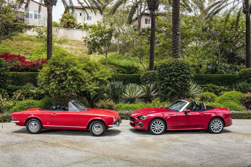 Fiat 124 Spider 桌布 壁紙 — 兩輛鮮紅色的Fiat敞篷車並排停放在一條石頭車道上，周圍環繞著茂密的綠色植物和棕櫚樹。