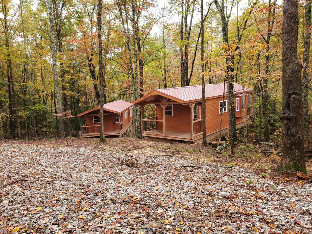 Fall Cabin 桌布 壁紙 — 兩間木屋隱藏在秋樹之間，落葉覆蓋碎石地面。