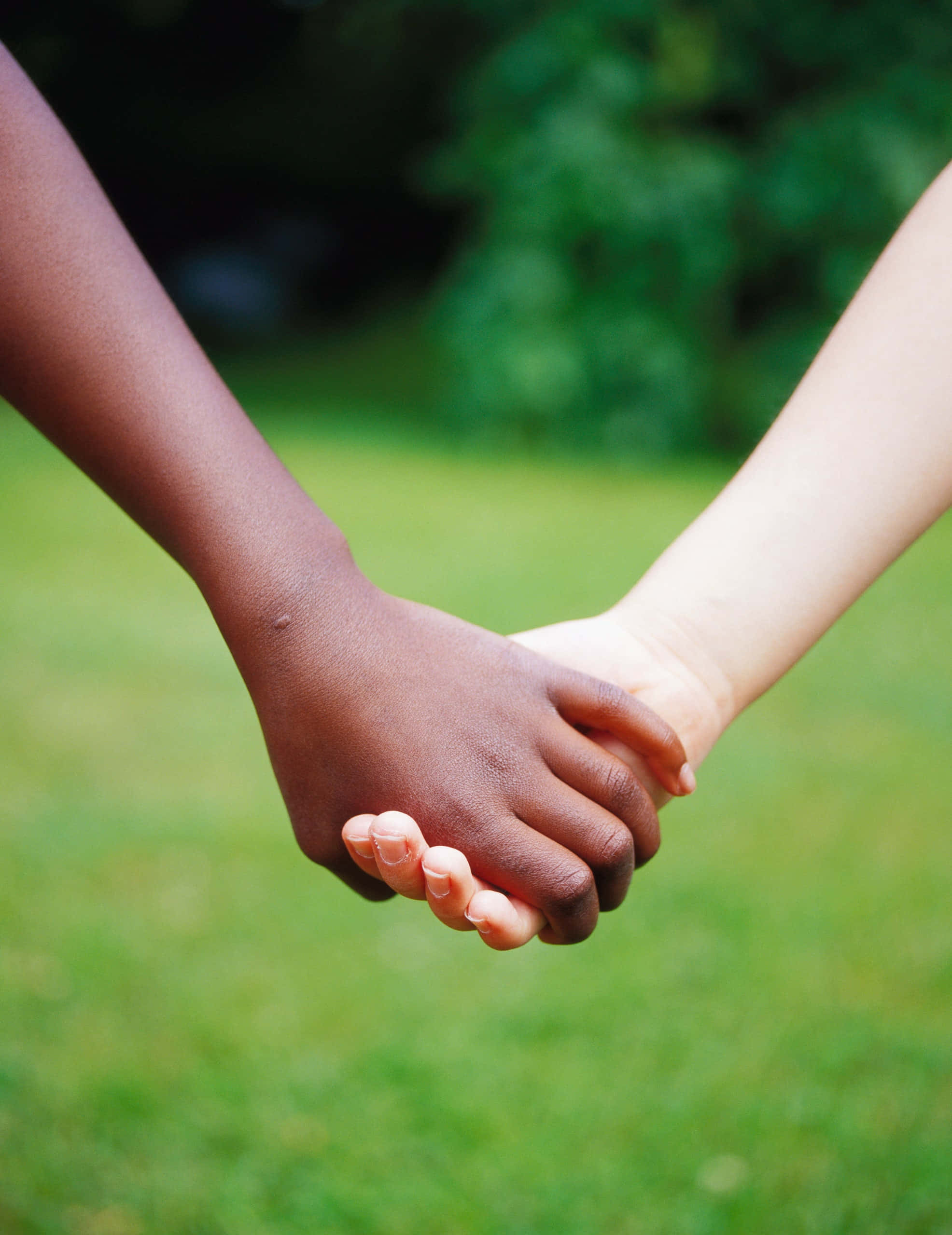 Holding Hands 桌布 壁紙 — 兩隻不同膚色的手在柔軟的綠色草地背景上緊緊相握。