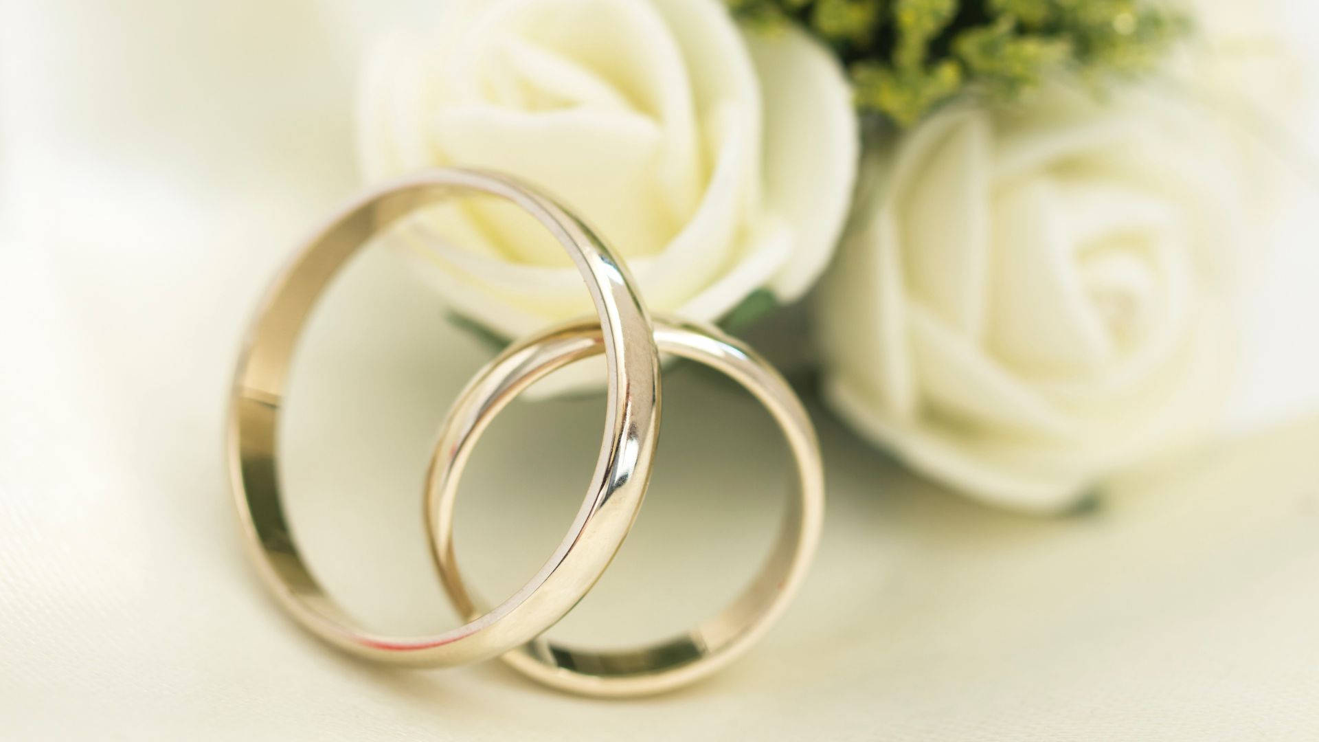 Wedding Rings 桌布 壁紙 — 兩隻交織的銀色結婚戒指優雅地放在柔軟的白玫瑰旁邊，置於奶油色布料上。