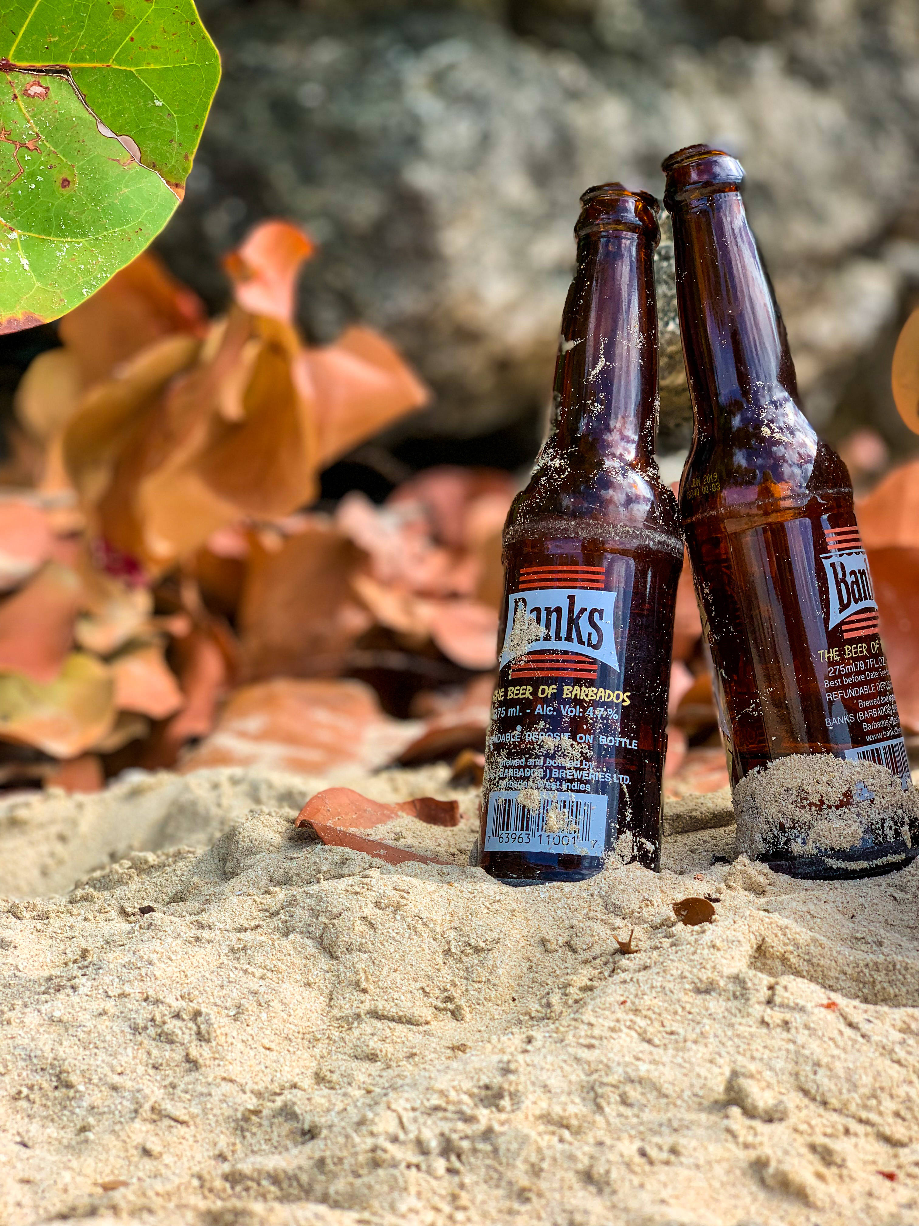 Barbados 桌布 壁紙 — 兩隻佈滿灰塵的Banks啤酒瓶在溫暖的沙子上，旁邊有落葉和一片綠葉，在明亮的陽光下。