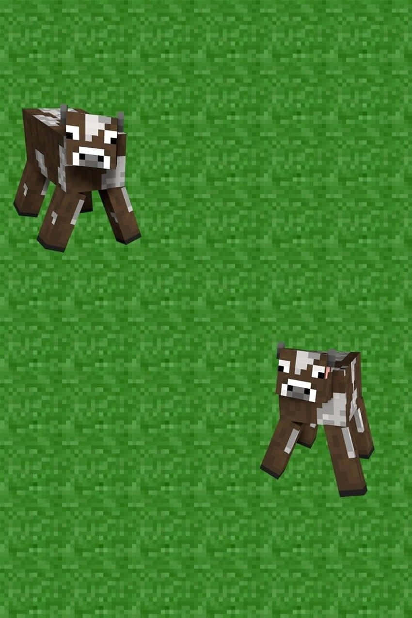 Minecraft Pets 桌布 壁紙 — 兩隻像素化的Minecraft牛站在綠色草地上，呈現方塊數位藝術風格。