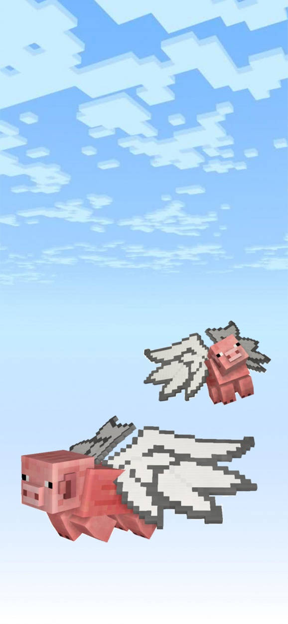 我的世界 高畫質壁紙 桌布 壁紙 — 兩隻像素化的飛豬在Minecraft風格的方塊藍天中翱翔，伴隨著蓬鬆的白雲。