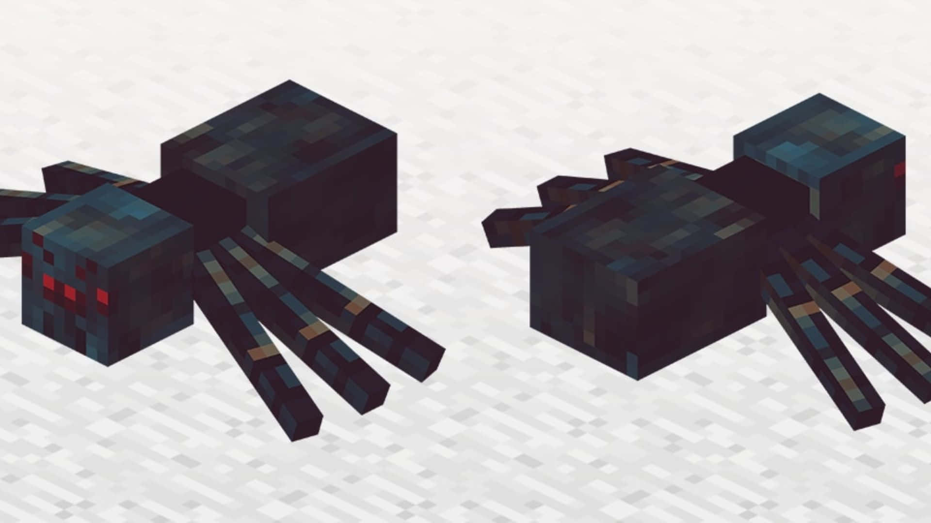 Minecraft Spider 桌布 壁紙 — 兩隻像素化黑色蜘蛛，眼睛發出紅光，站在Minecraft風格的淺灰色方塊地板上。