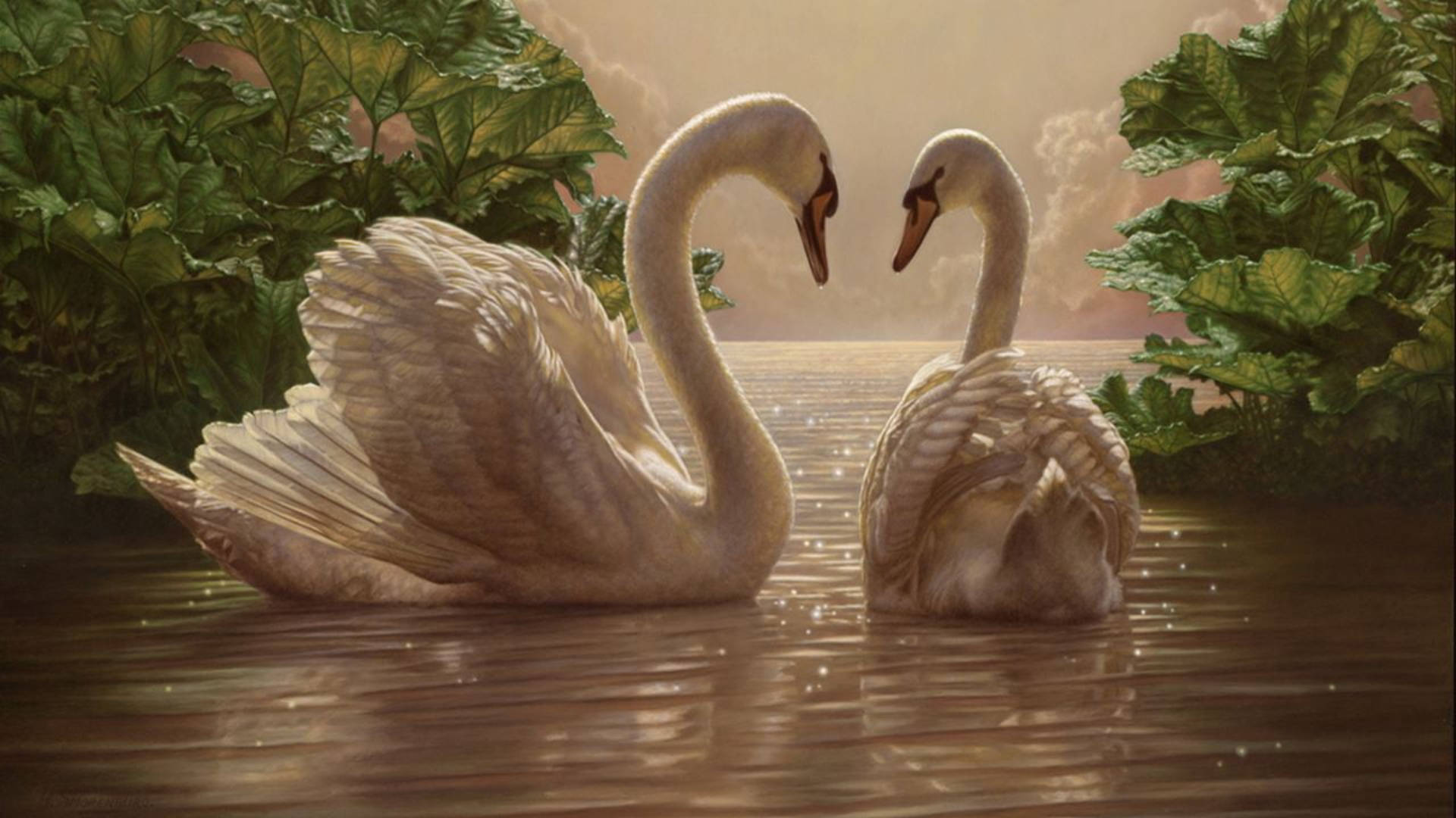 birds 桌布 壁紙 — 兩隻優雅的白天鵝在平靜的水面上相對，四周環繞著茂密的綠色樹葉，天空柔和金黃。