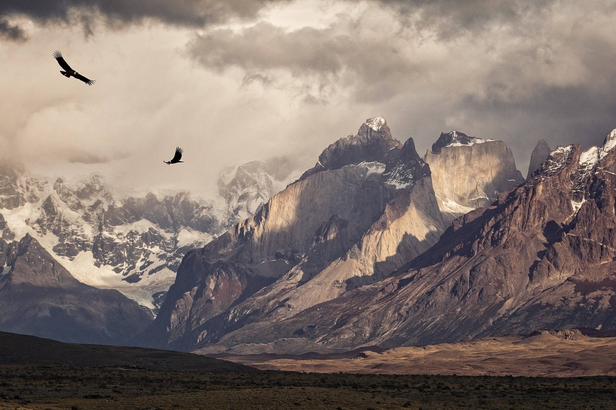 Patagonia 桌布 壁紙 — 兩隻兀鷲在戲劇性的多雲天空中翱翔，背景是鋸齒狀的積雪安第斯山脈山峰和岩石斜坡。