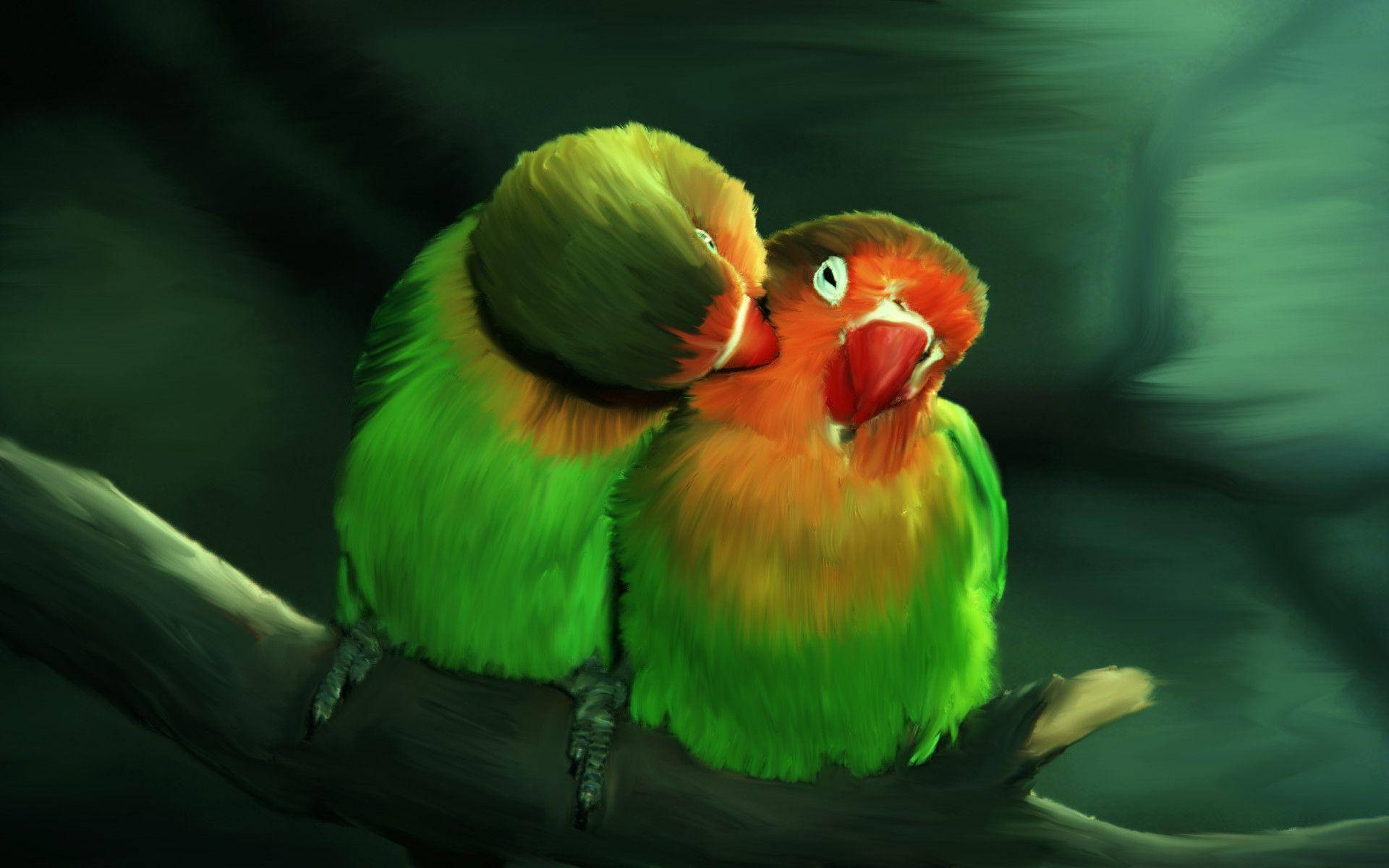 birds 桌布 壁紙 — 兩隻充滿活力的愛情鳥緊密地棲息在樹枝上，一隻依偎著另一隻，在模糊的綠色背景下展現溫柔的時刻。